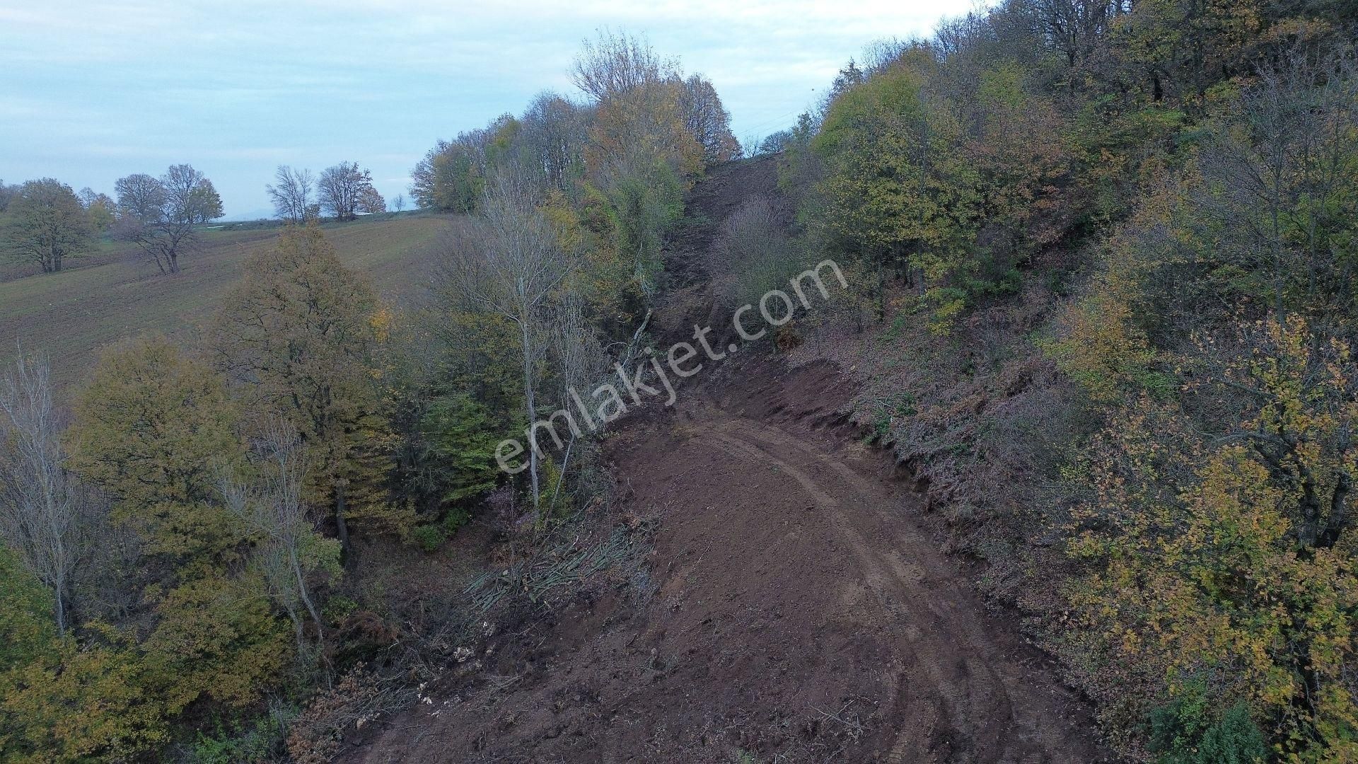 Orhangazi Mahmudiye Köyünde Asfalta Cephe 7.330 M2 Satılık Tarla - Görsel 28