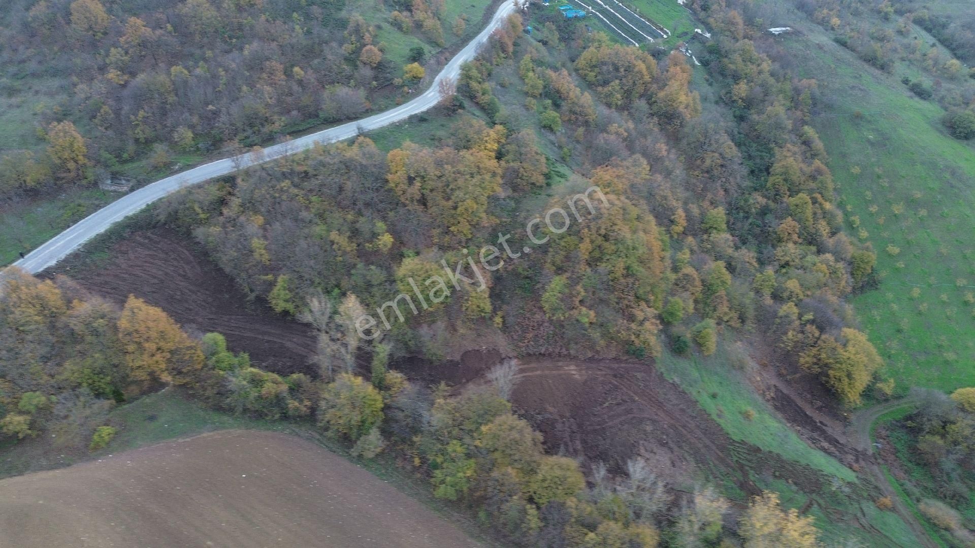 Orhangazi Mahmudiye Köyünde Asfalta Cephe 7.330 M2 Satılık Tarla - Görsel 22