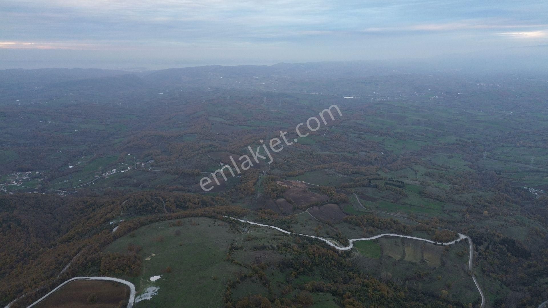 Orhangazi Mahmudiye Köyünde Asfalta Cephe 7.330 M2 Satılık Tarla - Görsel 16