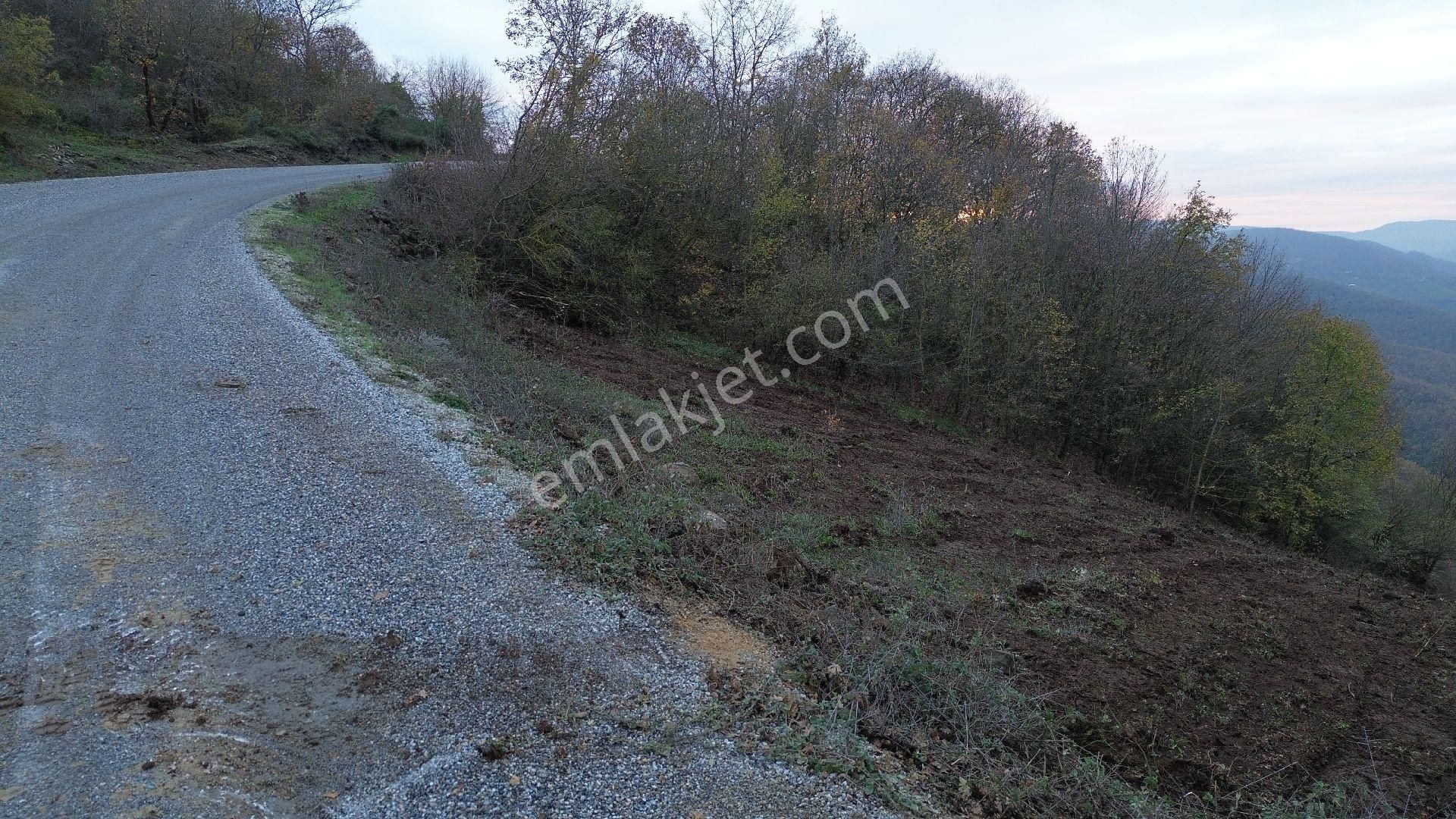 Orhangazi Mahmudiye Köyünde Asfalta Cephe 7.330 M2 Satılık Tarla - Görsel 34