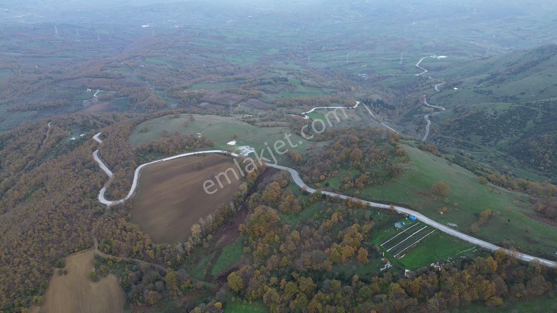 Orhangazi Mahmudiye Köyünde Asfalta Cephe 7.330 M2 Satılık Tarla - Görsel 2