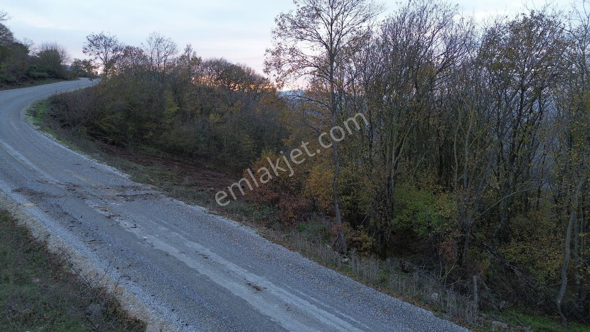 Orhangazi Mahmudiye Köyünde Asfalta Cephe 7.330 M2 Satılık Tarla - Görsel 35