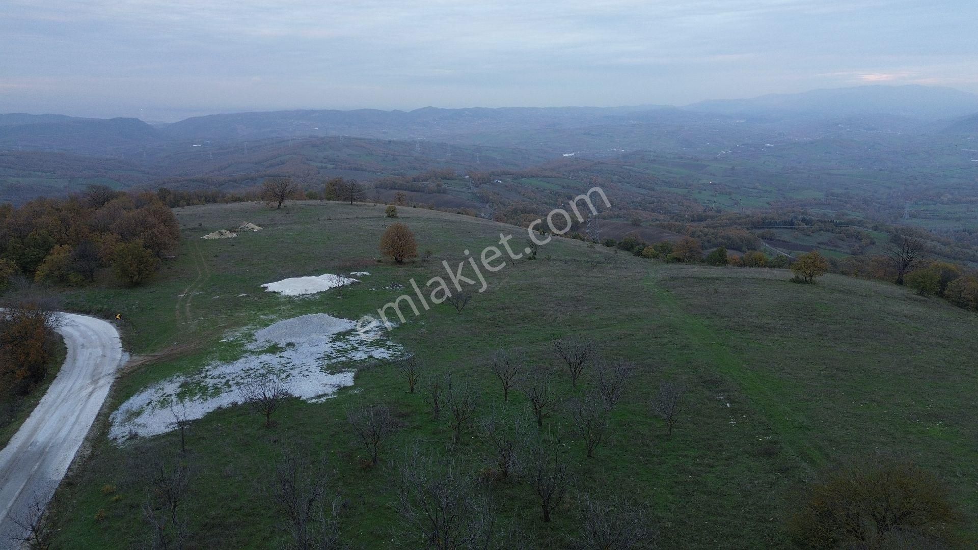Orhangazi Mahmudiye Köyünde Asfalta Cephe 7.330 M2 Satılık Tarla - Görsel 26