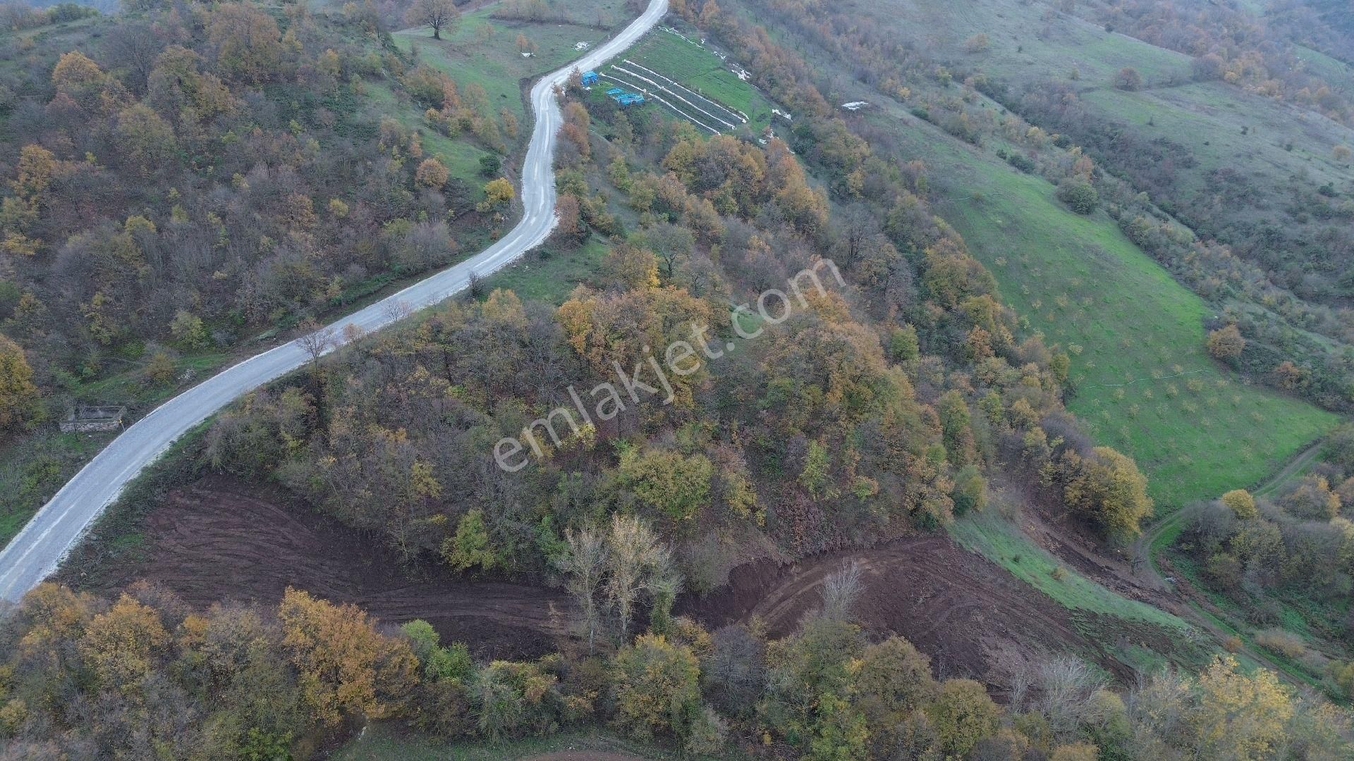 Orhangazi Mahmudiye Köyünde Asfalta Cephe 7.330 M2 Satılık Tarla - Görsel 23