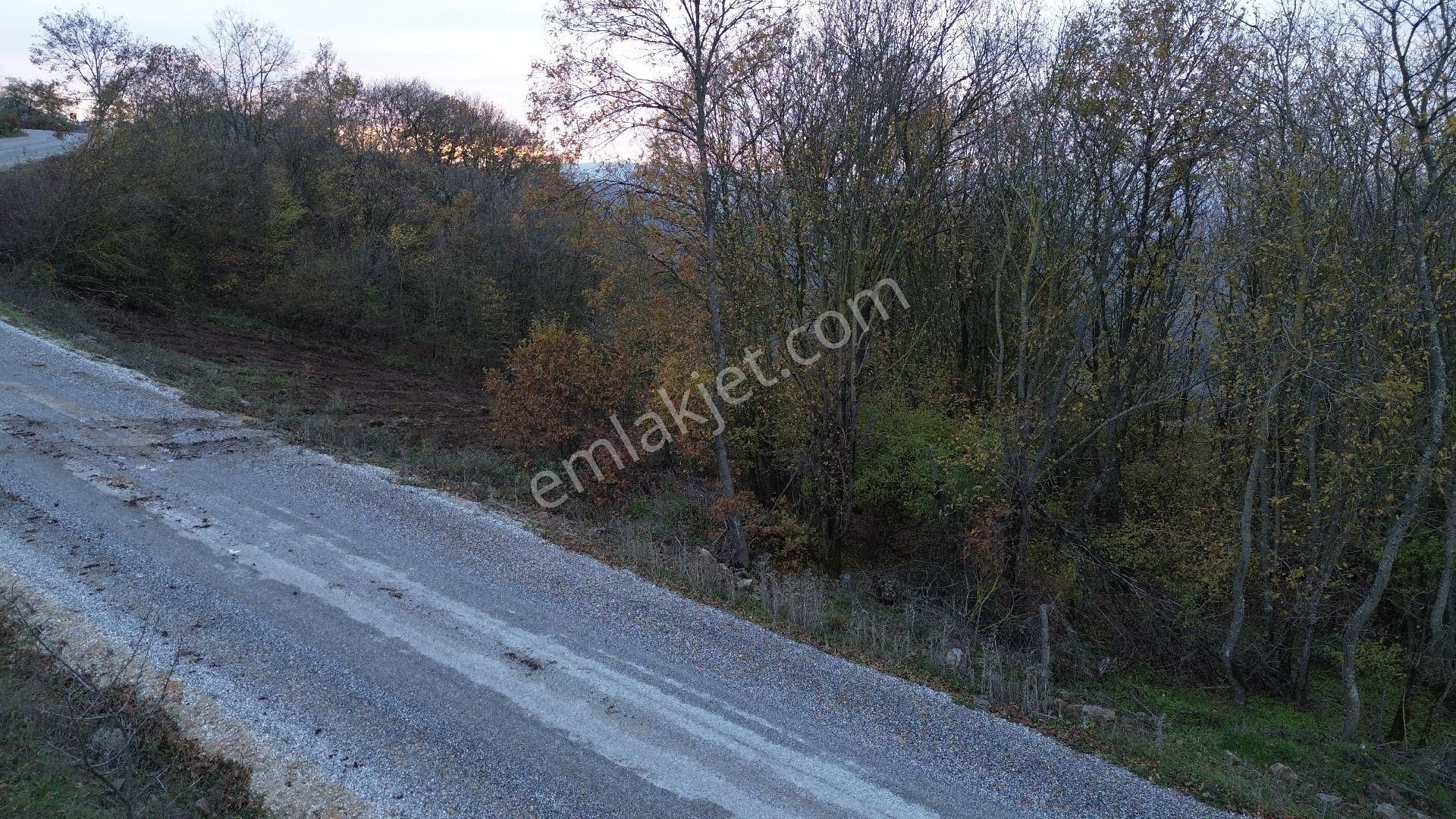 Orhangazi Mahmudiye Köyünde Asfalta Cephe 7.330 M2 Satılık Tarla - Görsel 6