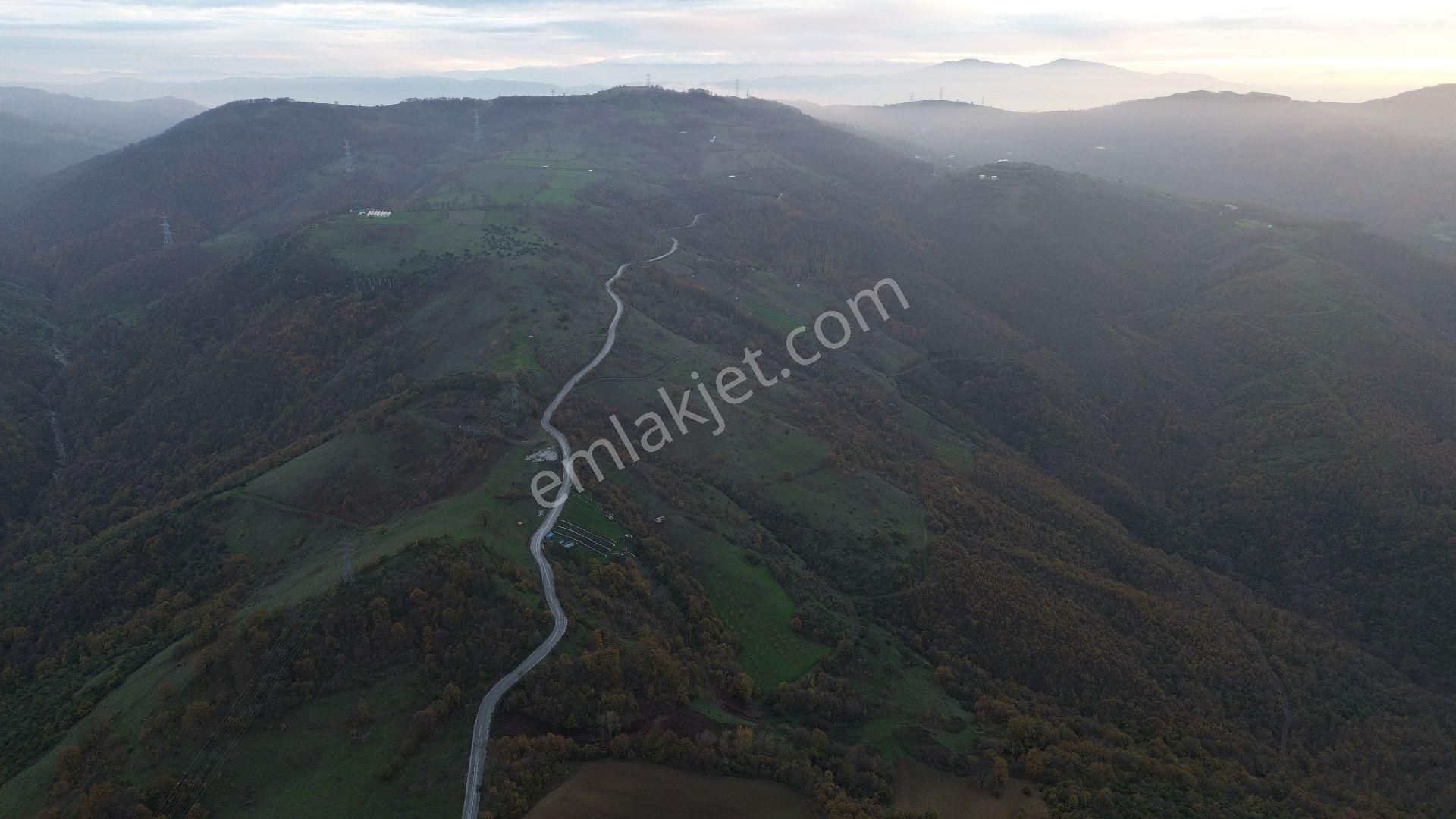 Orhangazi Mahmudiye Köyünde Asfalta Cephe 7.330 M2 Satılık Tarla - Görsel 12