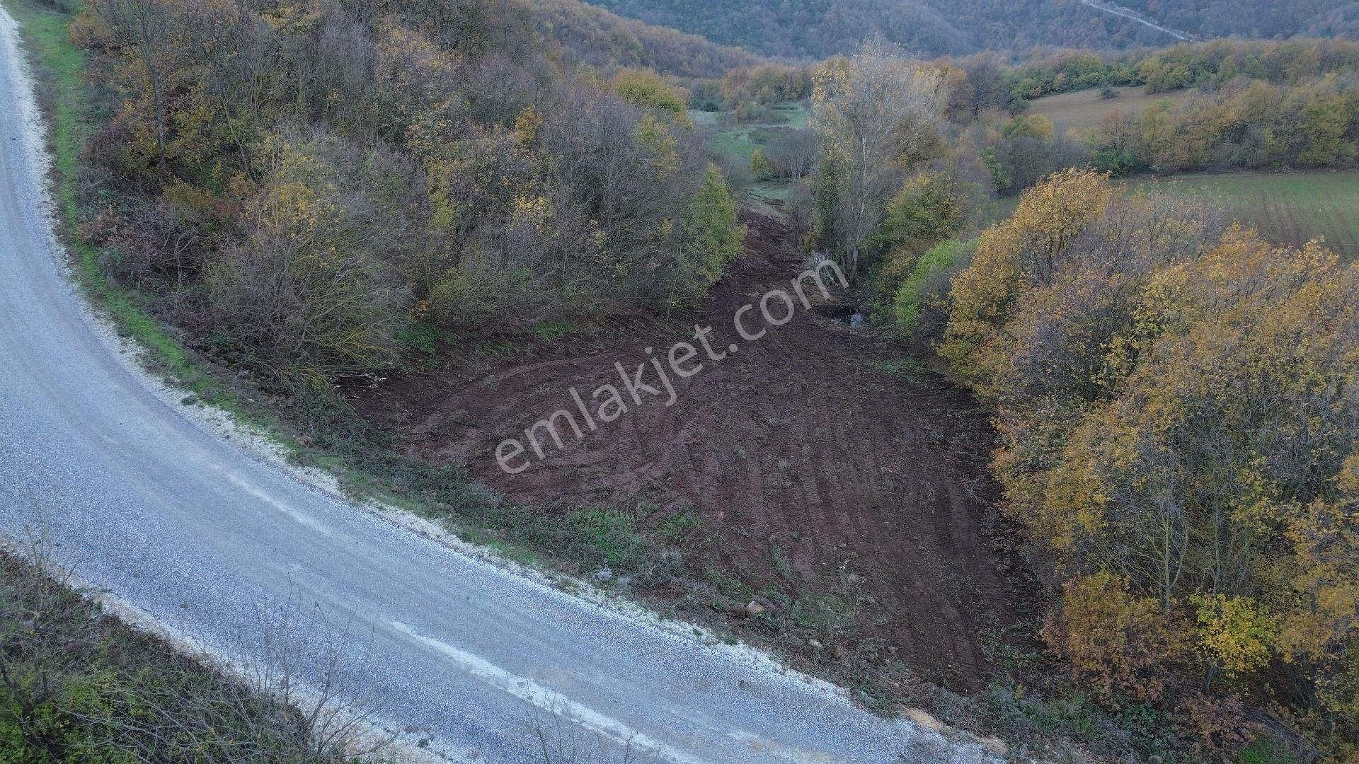 Orhangazi Mahmudiye Köyünde Asfalta Cephe 7.330 M2 Satılık Tarla - Görsel 8