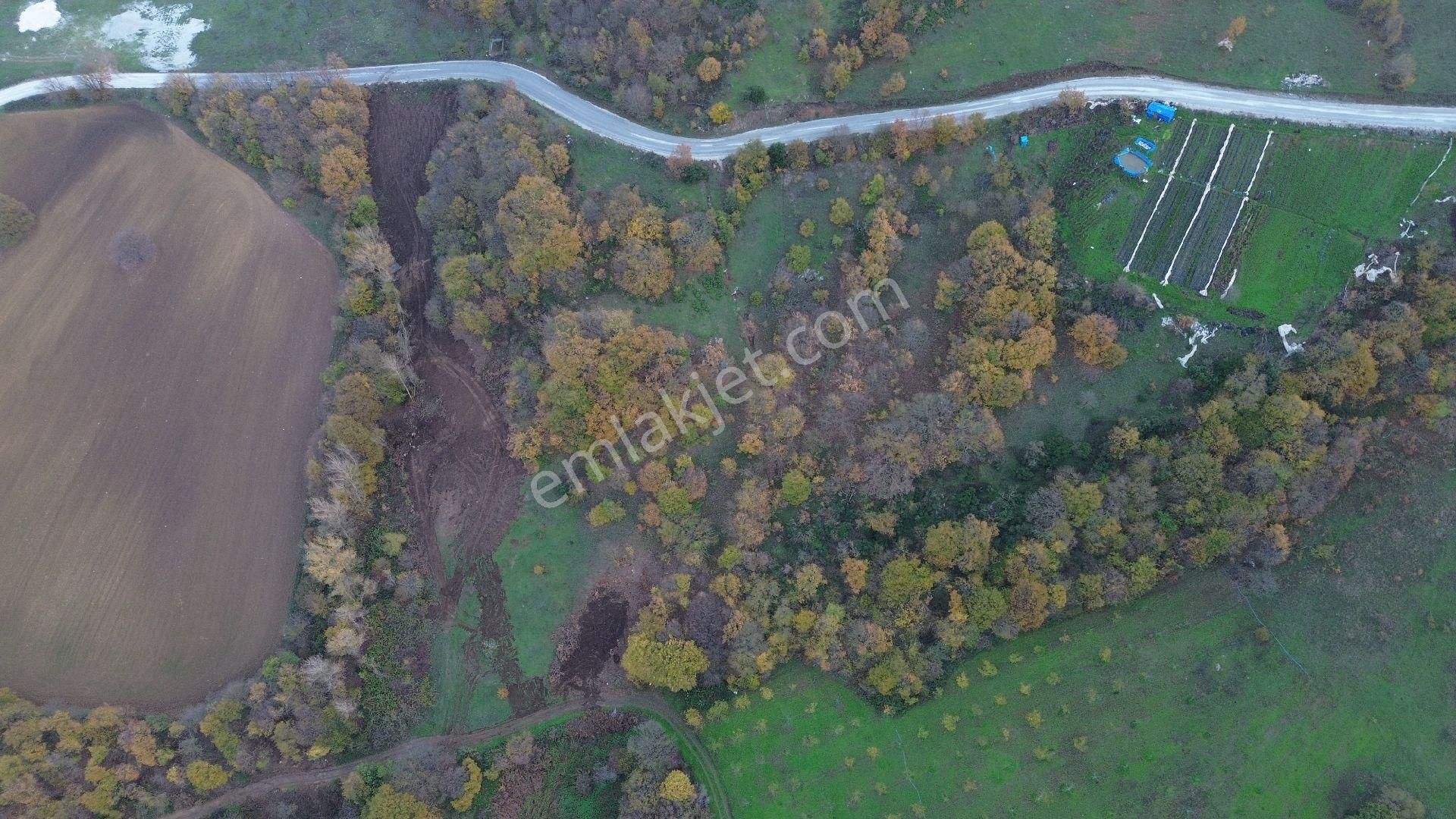 Orhangazi Mahmudiye Köyünde Asfalta Cephe 7.330 M2 Satılık Tarla - Görsel 31