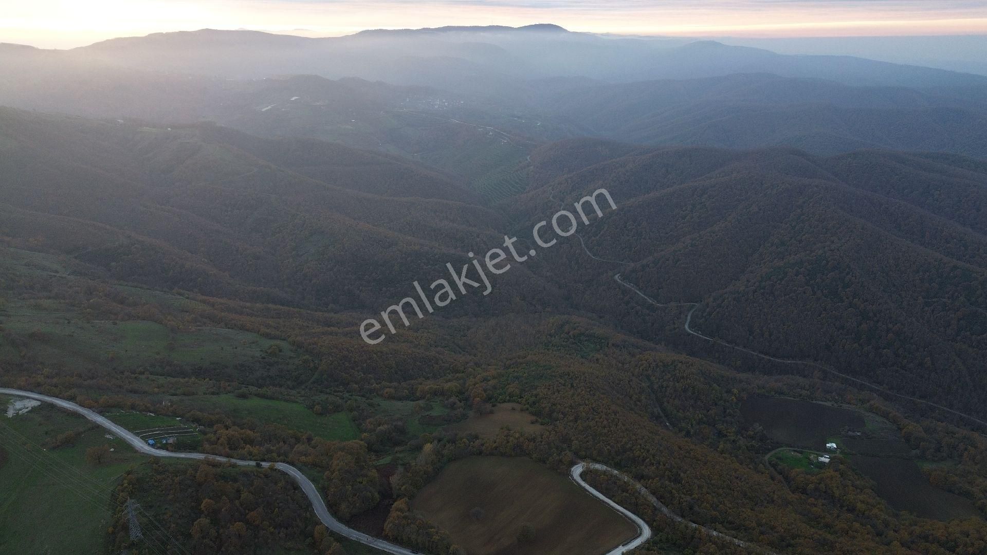 Orhangazi Mahmudiye Köyünde Asfalta Cephe 7.330 M2 Satılık Tarla - Görsel 10