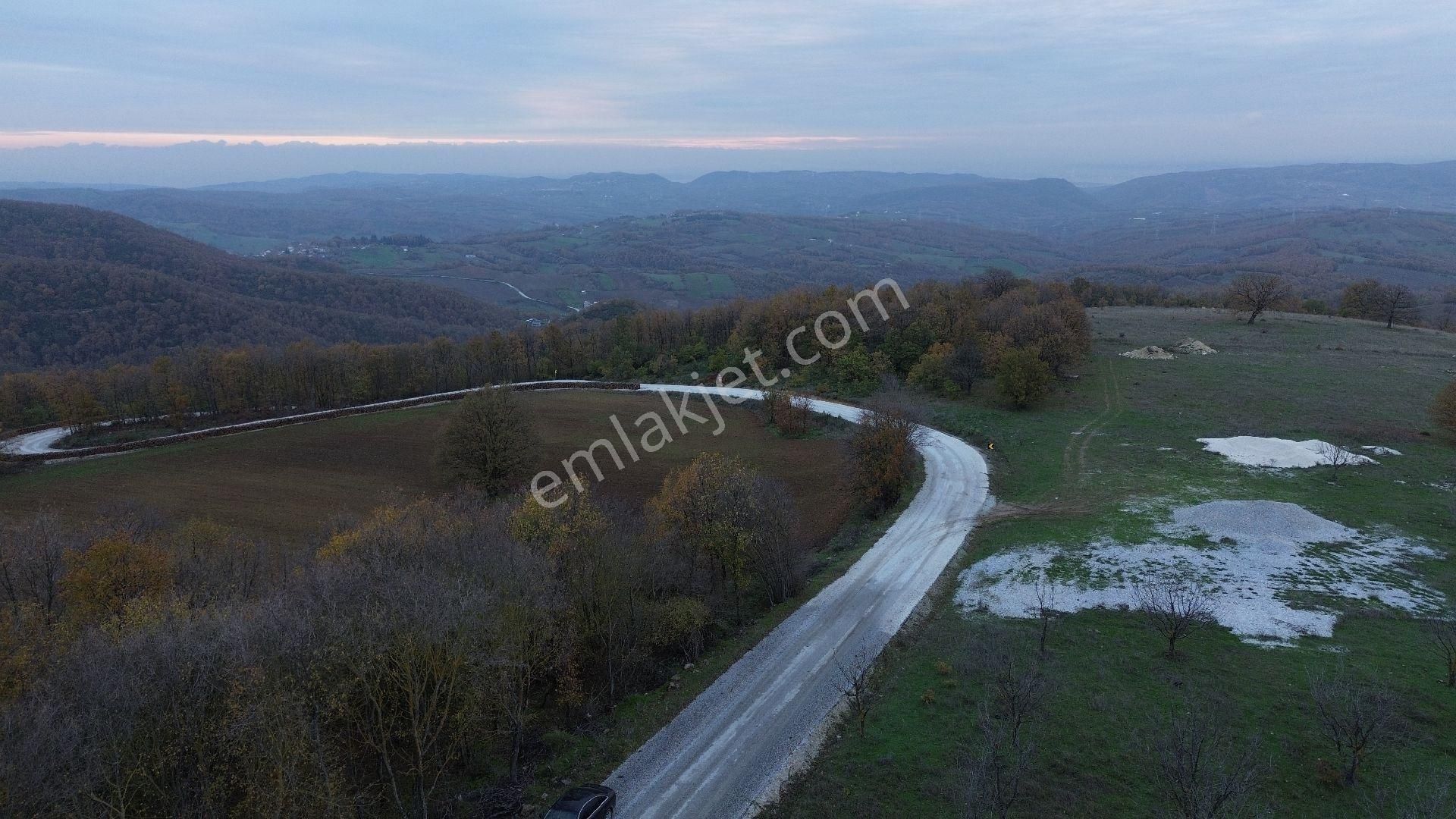 Orhangazi Mahmudiye Köyünde Asfalta Cephe 7.330 M2 Satılık Tarla - Görsel 27