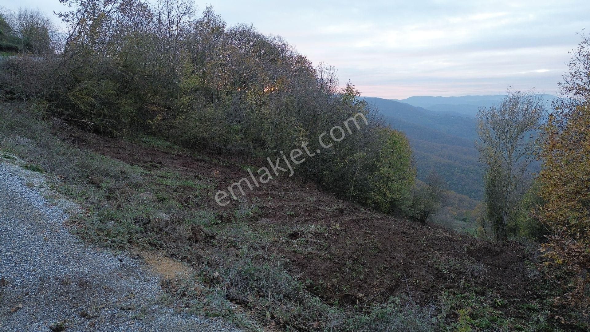 Orhangazi Mahmudiye Köyünde Asfalta Cephe 7.330 M2 Satılık Tarla - Görsel 25