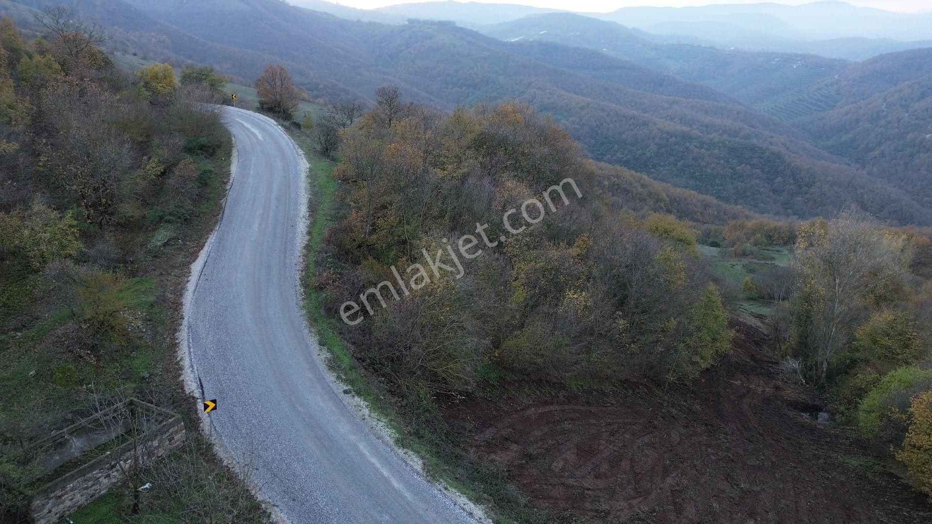 Orhangazi Mahmudiye Köyünde Asfalta Cephe 7.330 M2 Satılık Tarla - Görsel 7