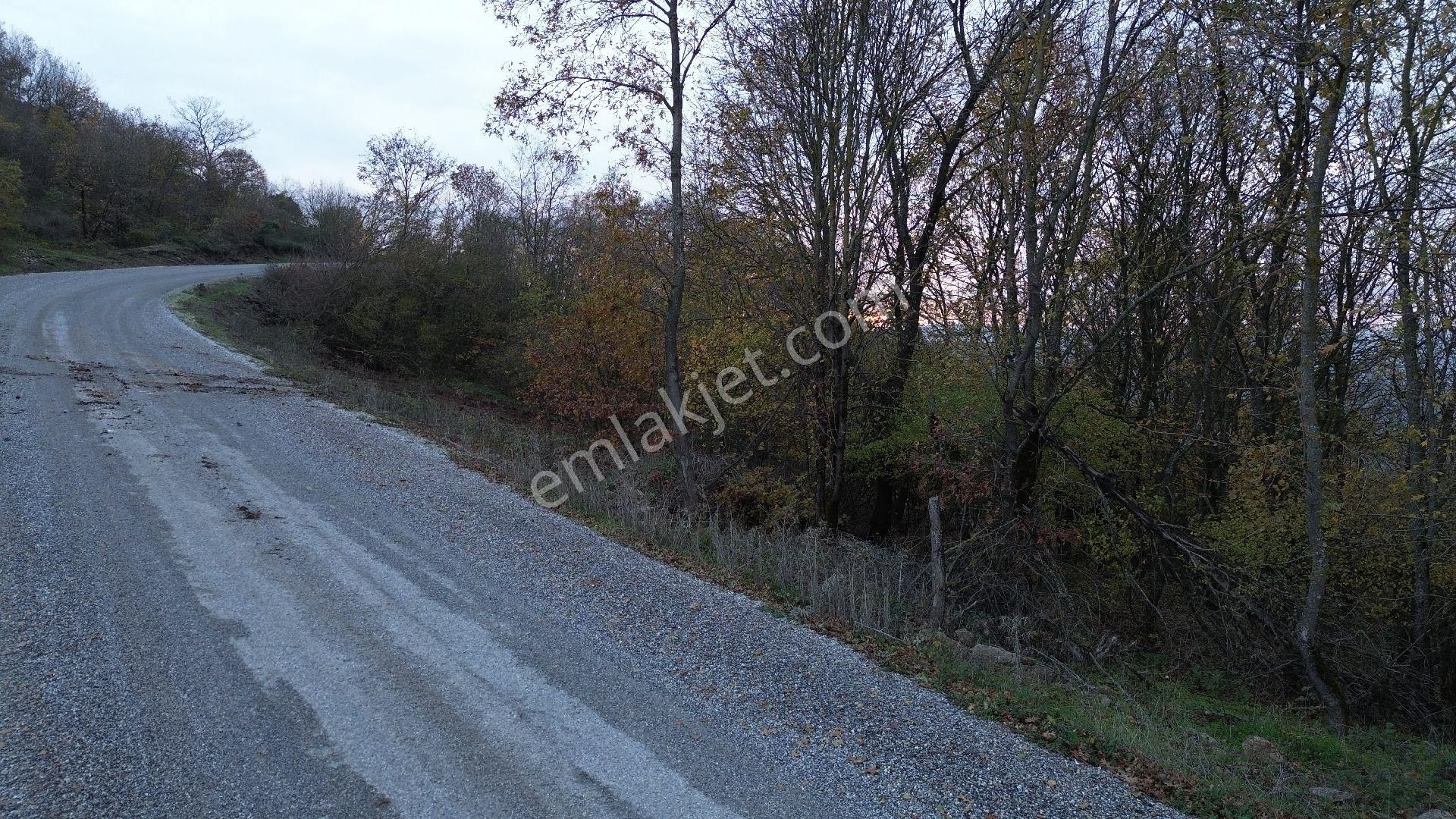 Orhangazi Mahmudiye Köyünde Asfalta Cephe 7.330 M2 Satılık Tarla - Görsel 5