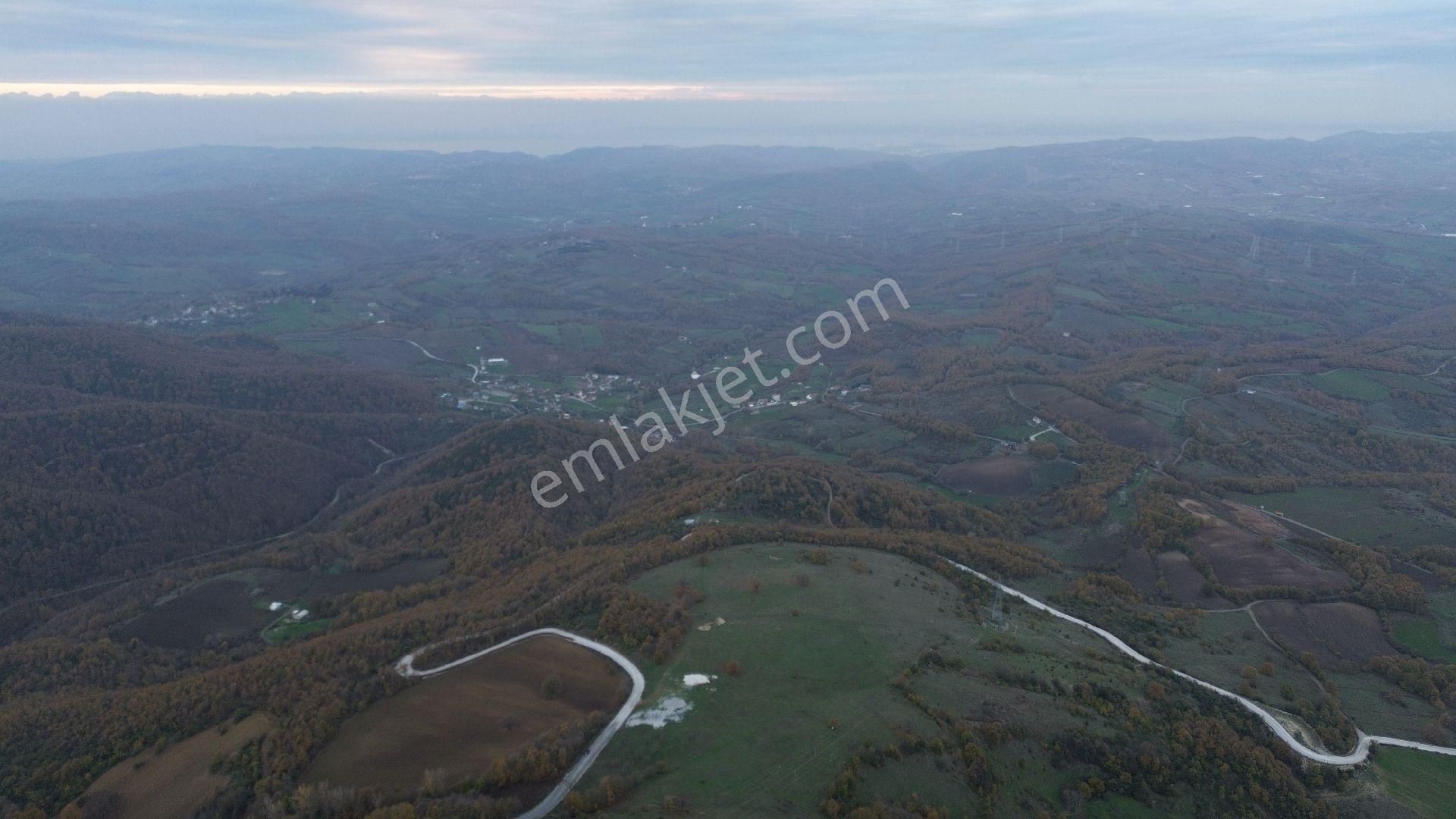 Orhangazi Mahmudiye Köyünde Asfalta Cephe 7.330 M2 Satılık Tarla - Görsel 11