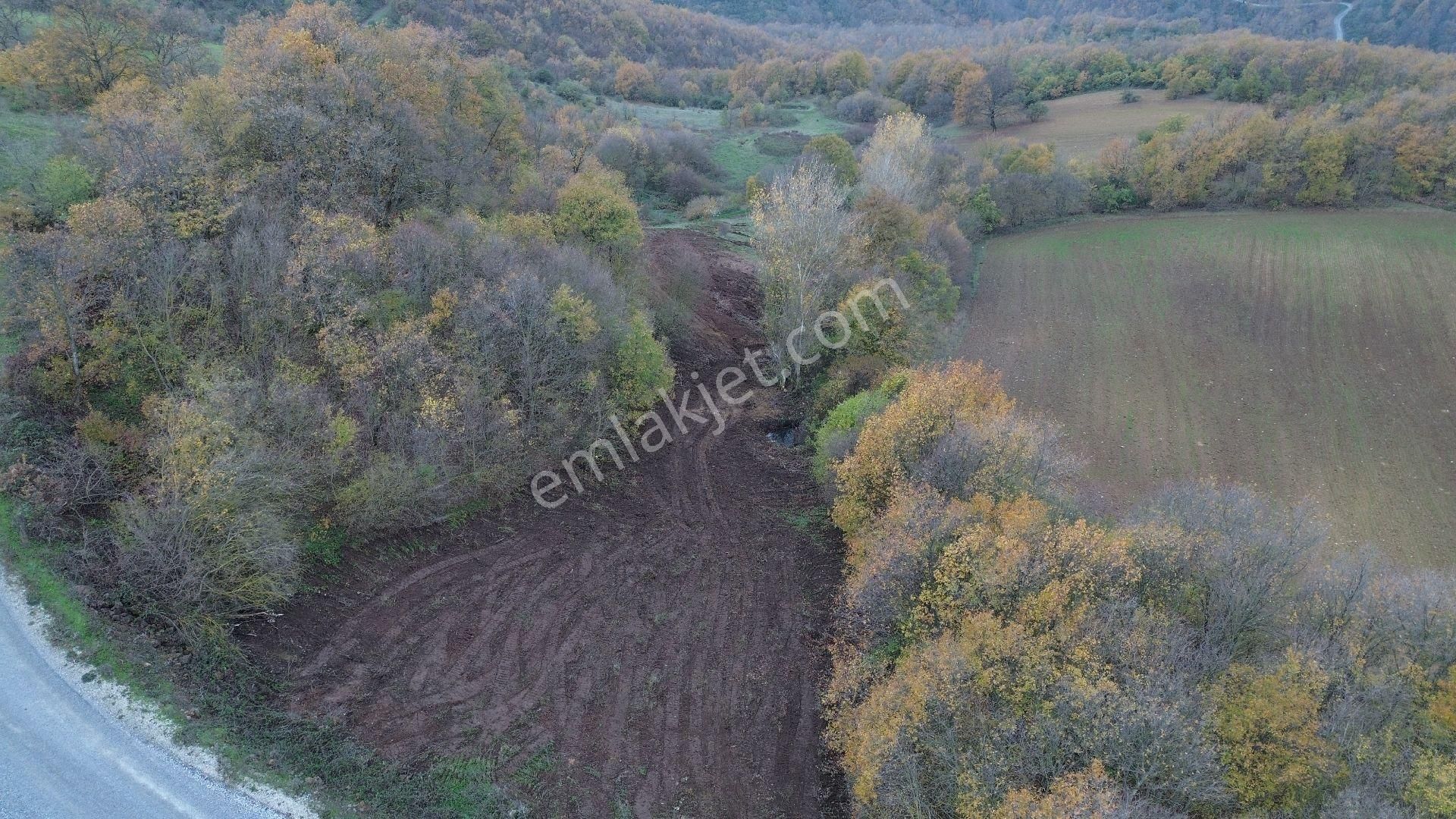 Orhangazi Mahmudiye Köyünde Asfalta Cephe 7.330 M2 Satılık Tarla