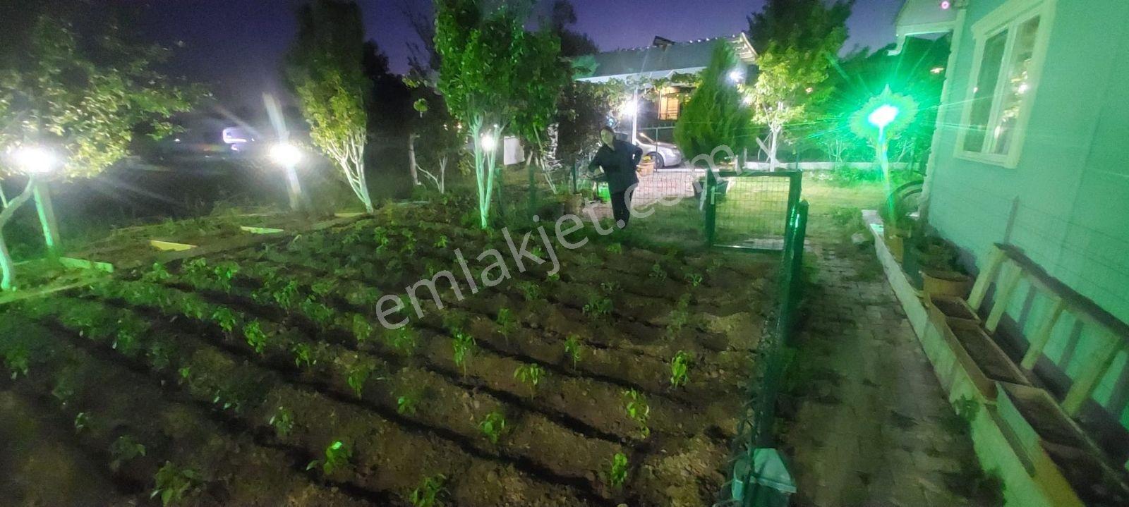 Buca Kaynaklar Gölet Civarı Bahçeli Müstakil Ev - Görsel 21