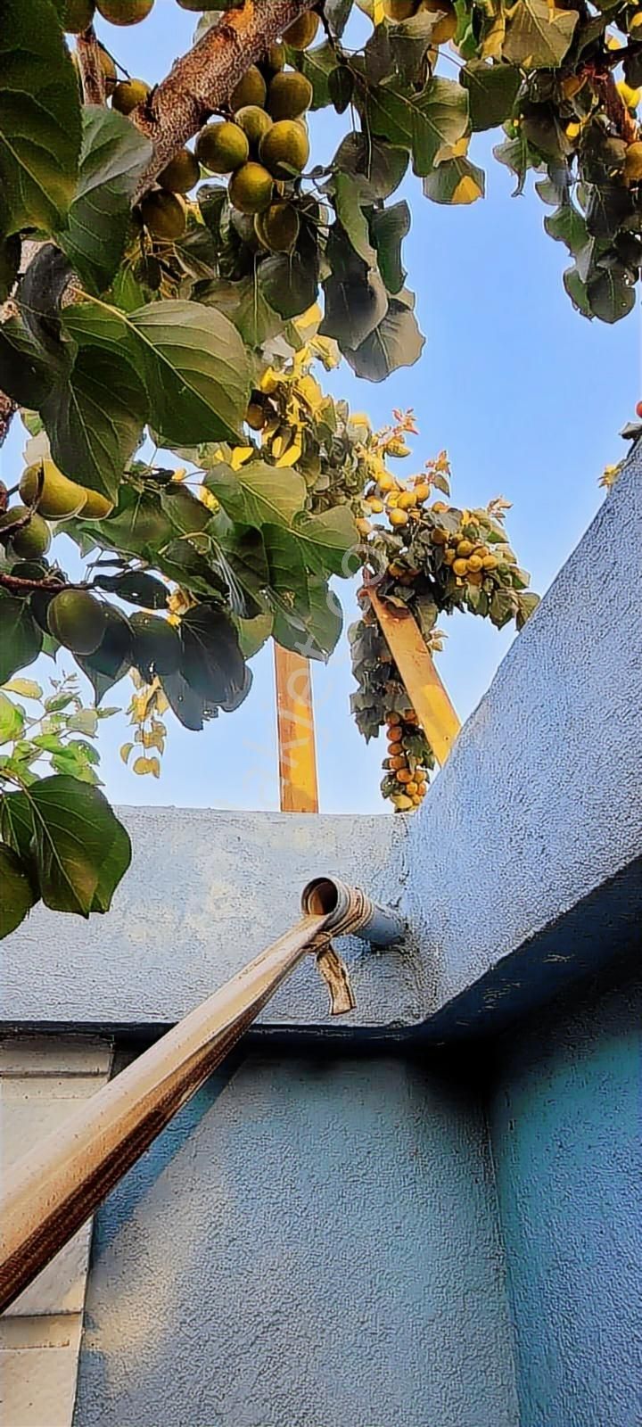 Buca Kaynaklar Gölet Civarı Bahçeli Müstakil Ev - Görsel 13