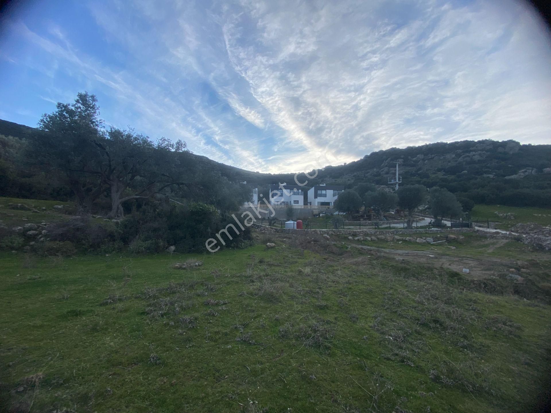 Menemen Kır Mah. Eski Manisa Yoluna 260m Cepheli 12.400m2 Arazi - Görsel 11