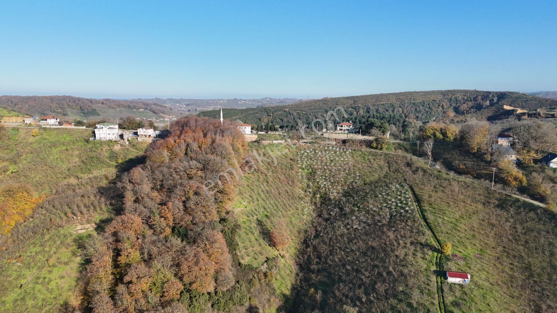 Re/max Makvi'den İmara Yakın Kadastral Yolu Olan Fındık Bahçesi - Görsel 18