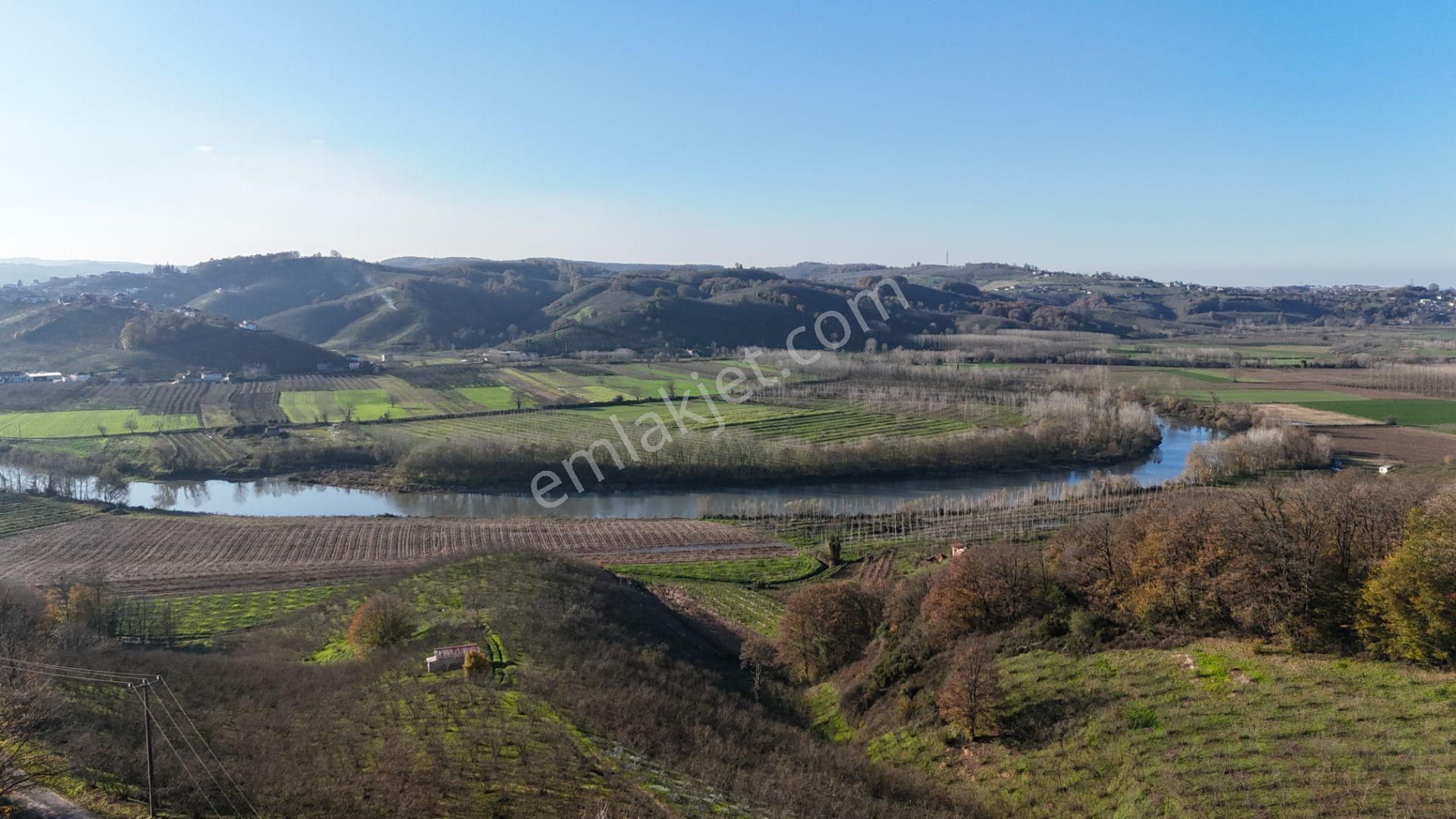 Re/max Makvi'den İmara Yakın Kadastral Yolu Olan Fındık Bahçesi - Görsel 6