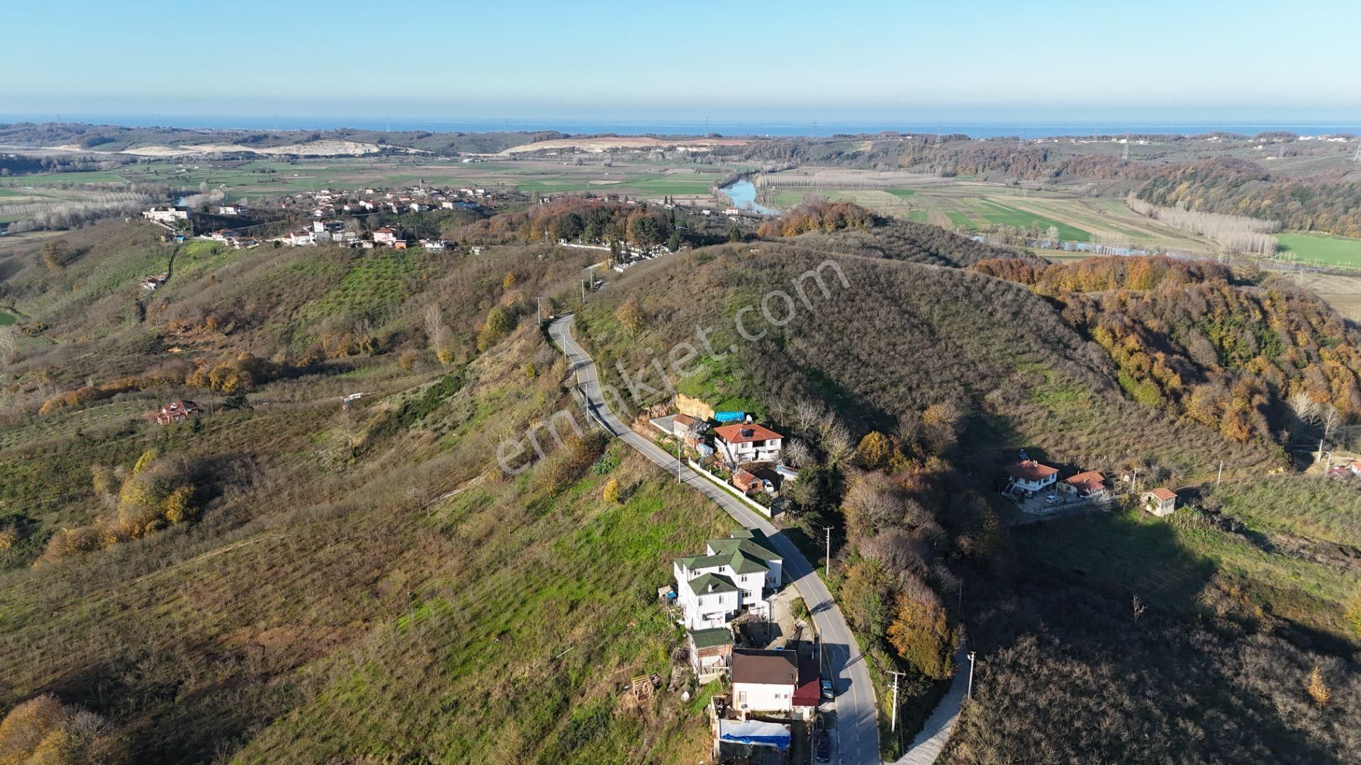 Re/max Makvi'den İmara Yakın Kadastral Yolu Olan Fındık Bahçesi - Görsel 3