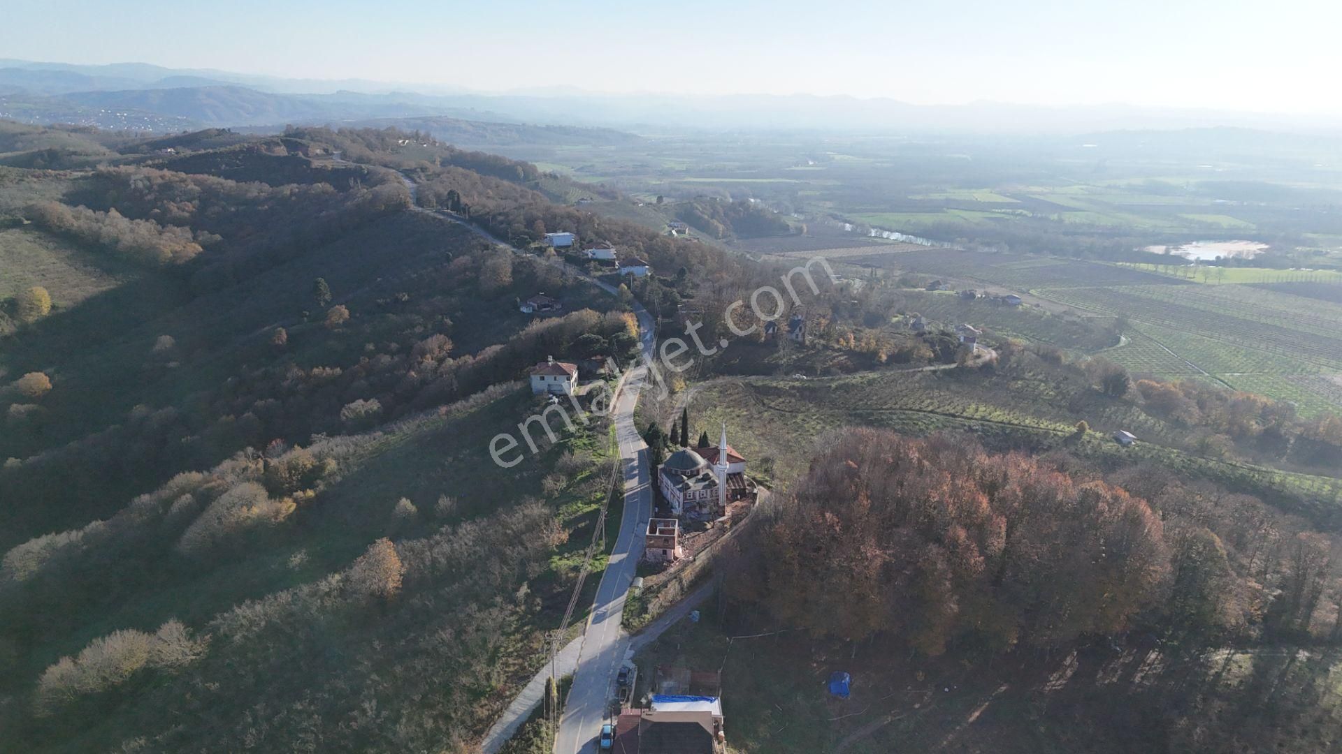 Re/max Makvi'den İmara Yakın Kadastral Yolu Olan Fındık Bahçesi - Görsel 23