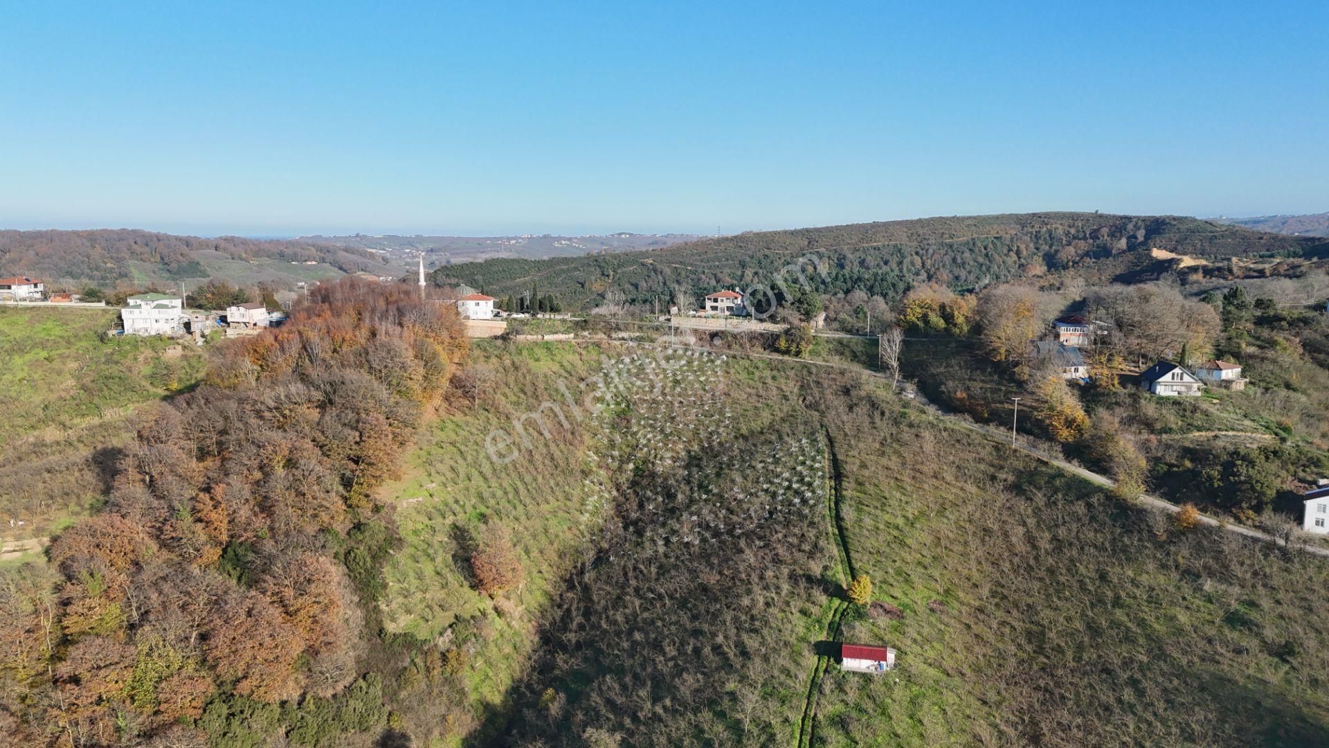 Re/max Makvi'den İmara Yakın Kadastral Yolu Olan Fındık Bahçesi - Görsel 19