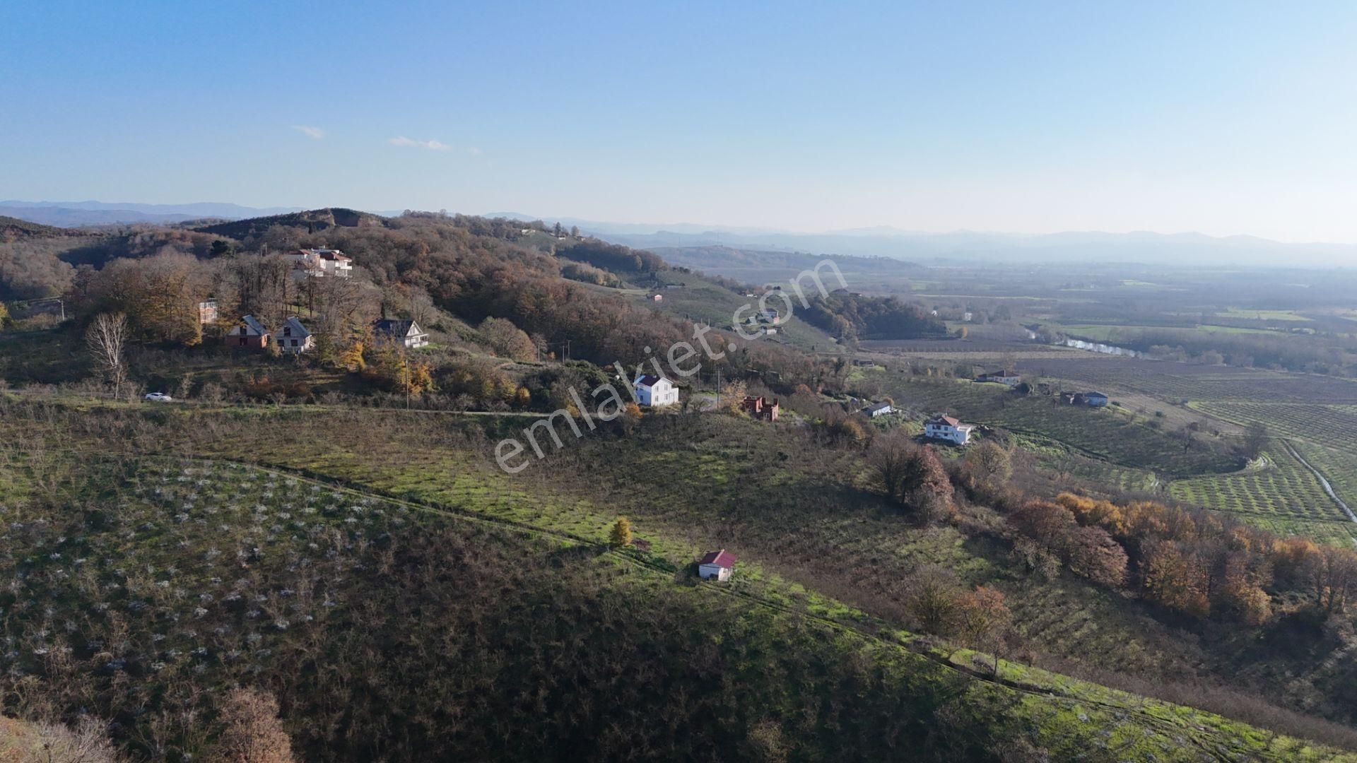 Re/max Makvi'den İmara Yakın Kadastral Yolu Olan Fındık Bahçesi - Görsel 13