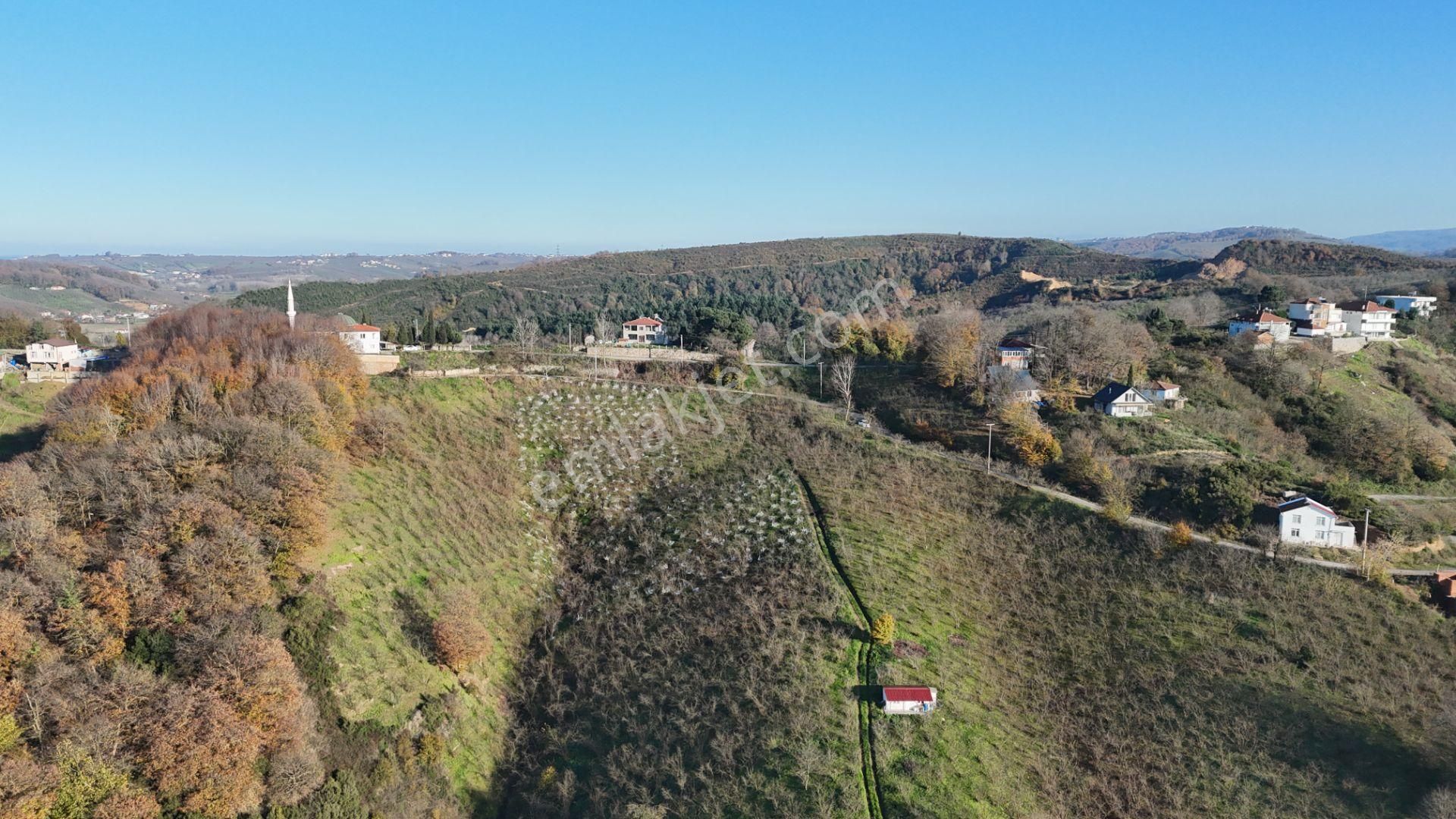 Re/max Makvi'den İmara Yakın Kadastral Yolu Olan Fındık Bahçesi - Görsel 16
