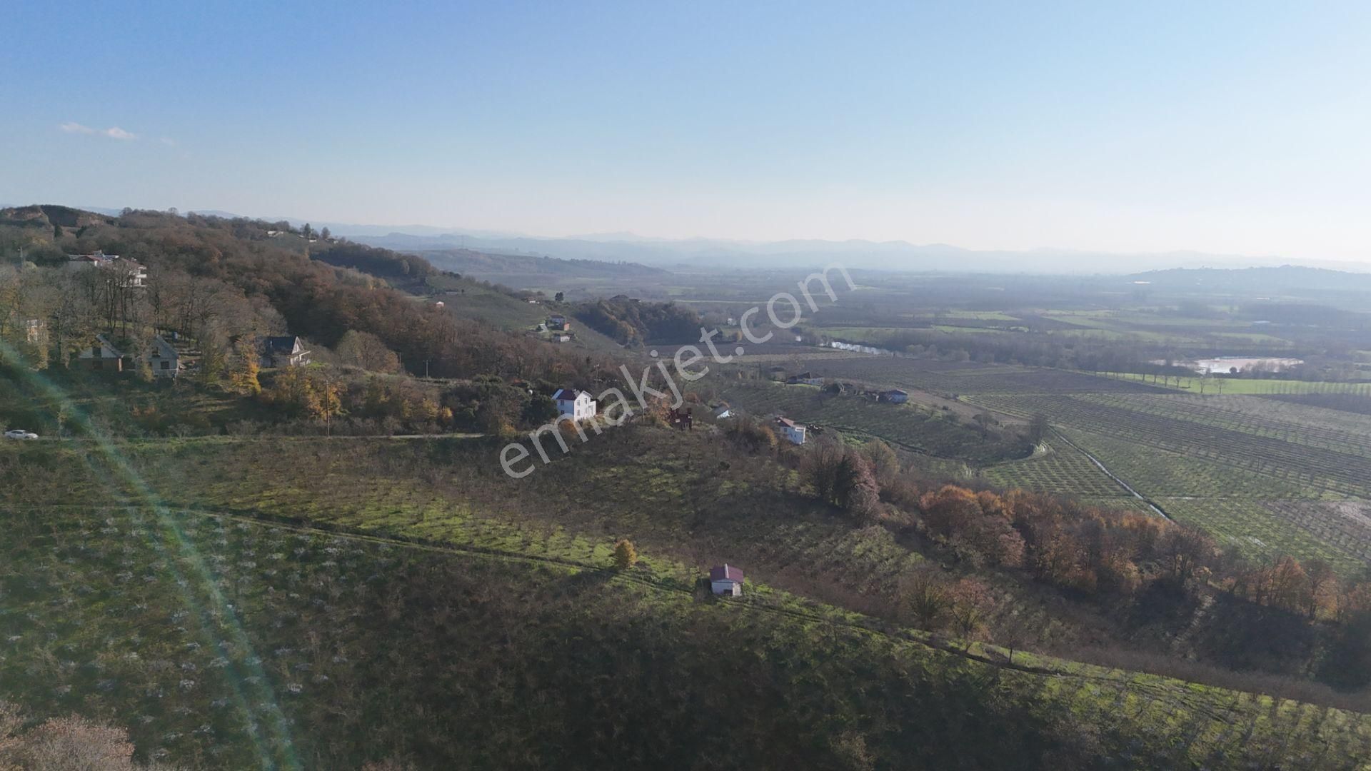 Re/max Makvi'den İmara Yakın Kadastral Yolu Olan Fındık Bahçesi - Görsel 12