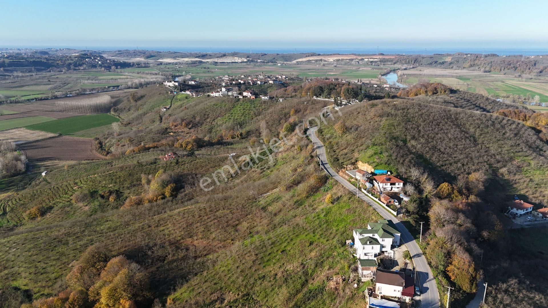 Re/max Makvi'den İmara Yakın Kadastral Yolu Olan Fındık Bahçesi