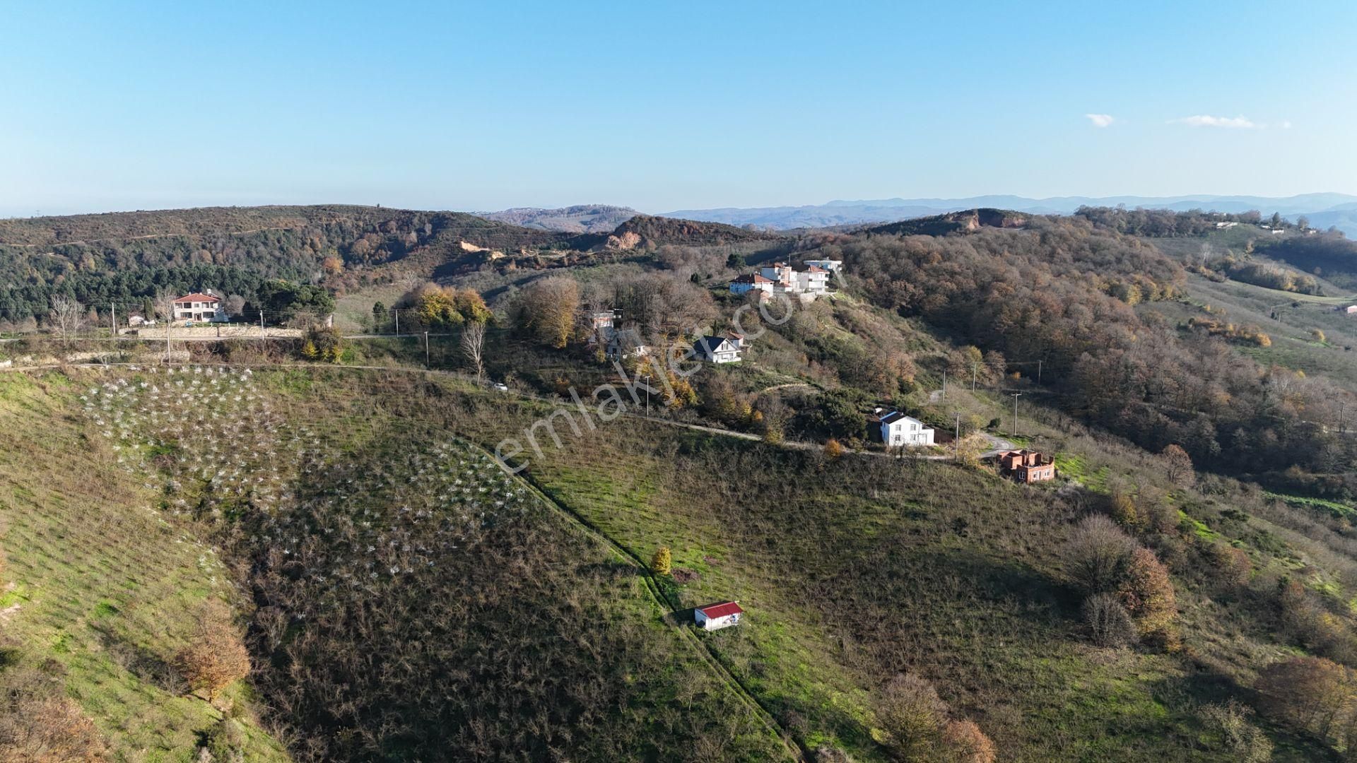 Re/max Makvi'den İmara Yakın Kadastral Yolu Olan Fındık Bahçesi - Görsel 15