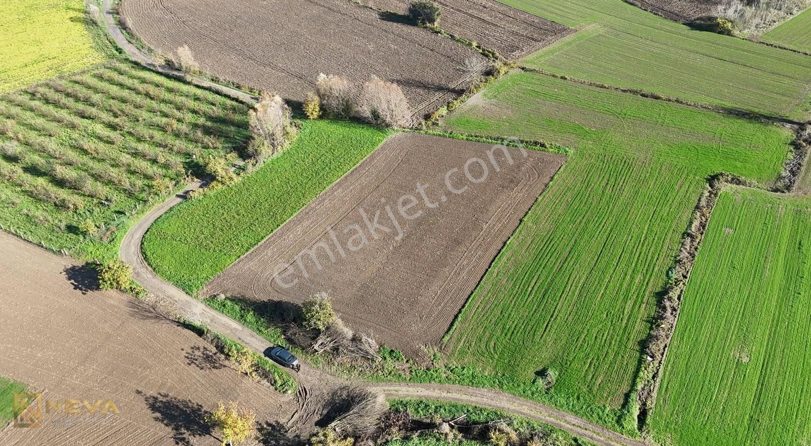 Erenler Sarıcalar Mah. Resmi Yol Üzeri Satılık 2500 M2 Tarla - Görsel 10