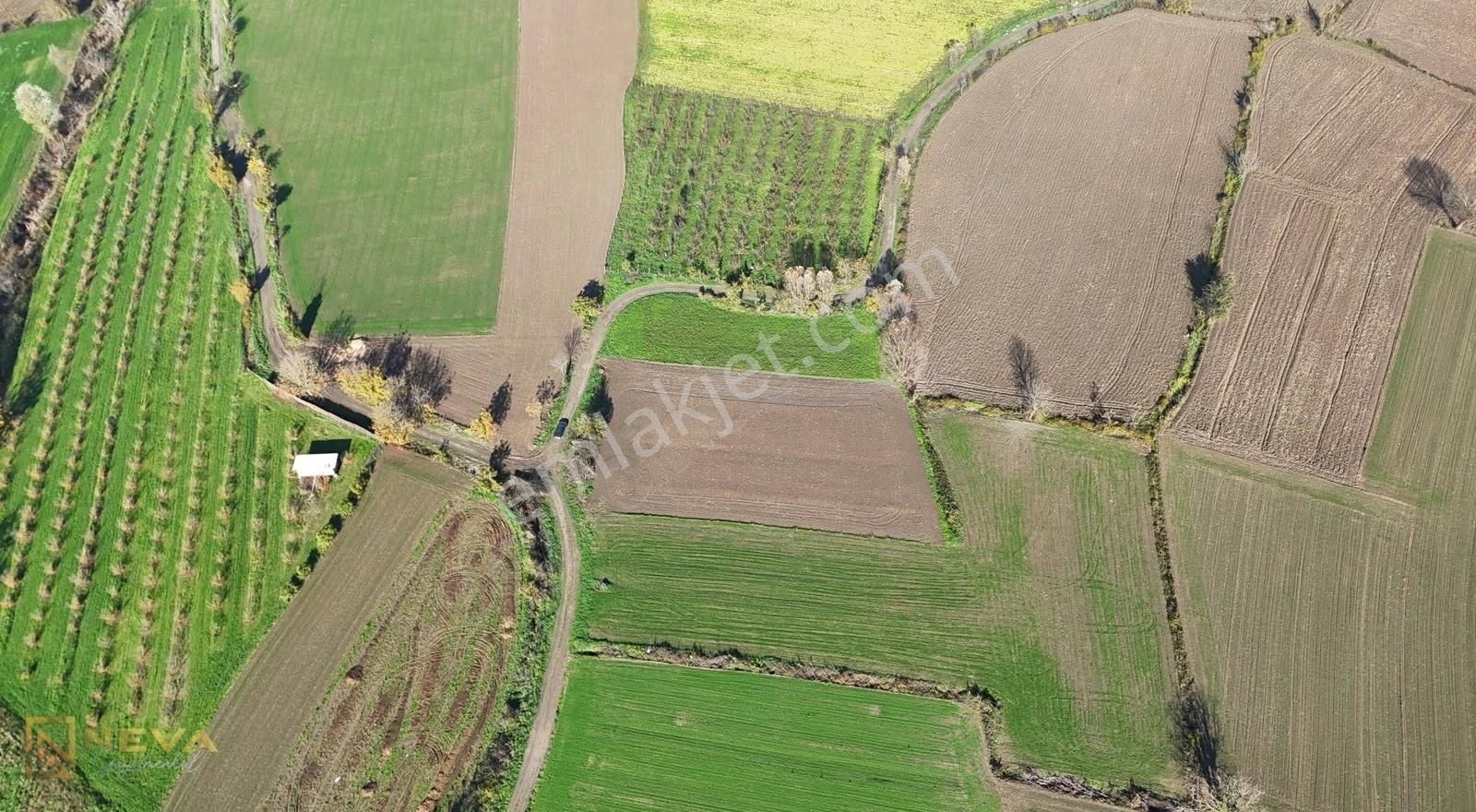 Erenler Sarıcalar Mah. Resmi Yol Üzeri Satılık 2500 M2 Tarla - Görsel 11