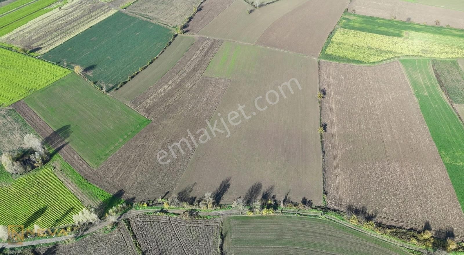 Erenler Sarıcalar Mah. Resmi Yol Üzeri Satılık 5000 M2 Tarla - Görsel 2