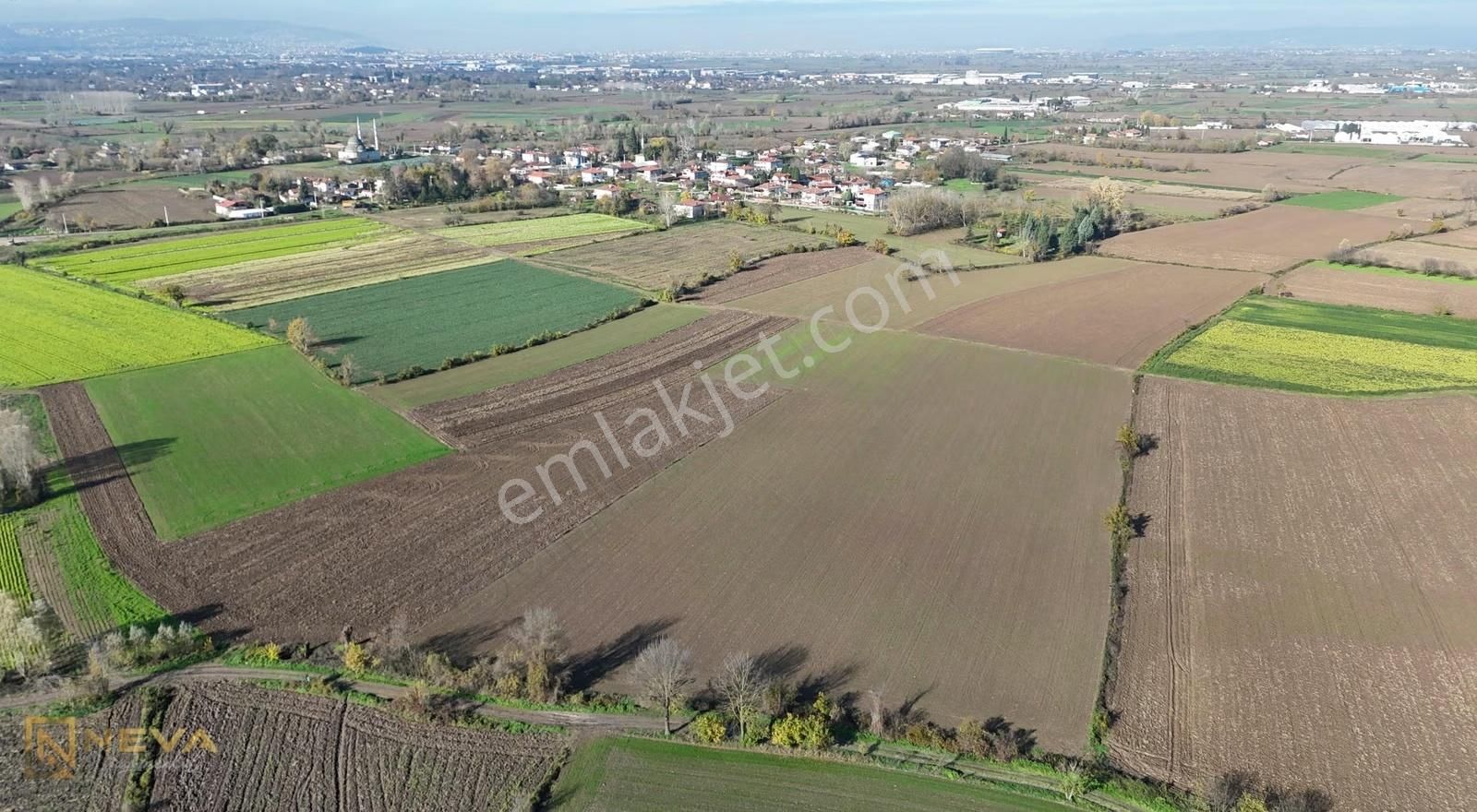 Erenler Sarıcalar Mah. Resmi Yol Üzeri Satılık 5000 M2 Tarla - Görsel 4