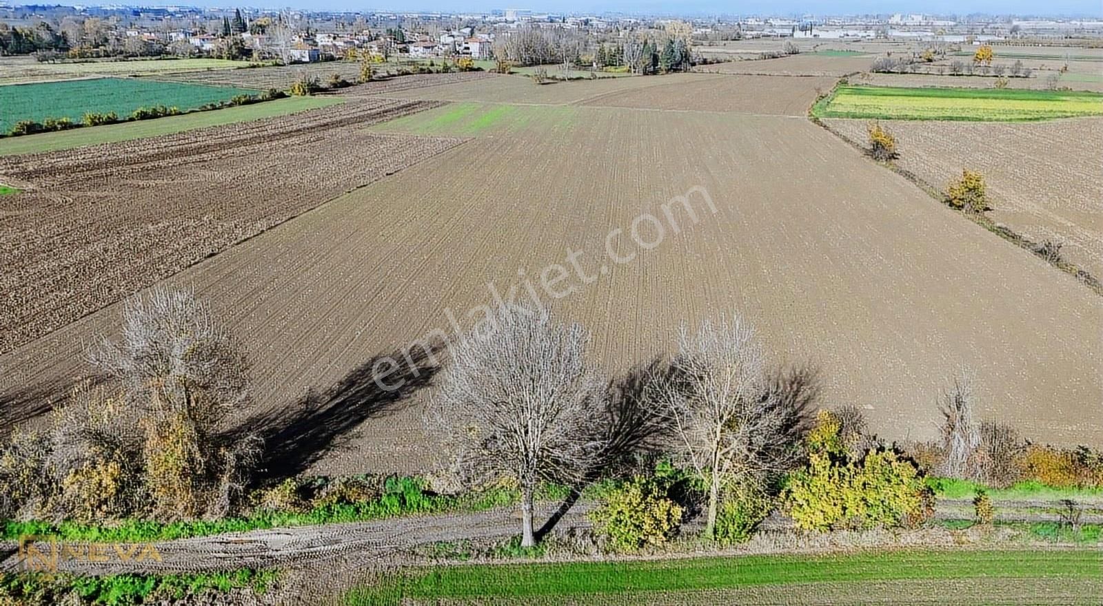 Erenler Sarıcalar Mah. Resmi Yol Üzeri Satılık 5000 M2 Tarla - Görsel 11