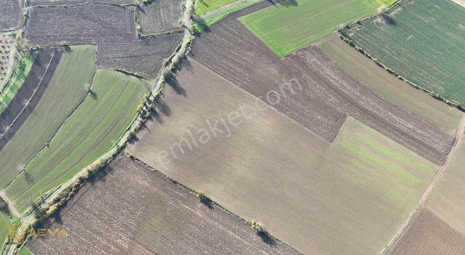 Erenler Sarıcalar Mah. Resmi Yol Üzeri Satılık 5000 M2 Tarla - Görsel 10