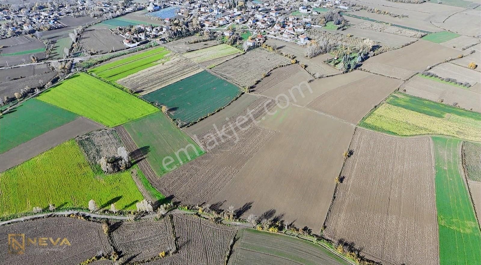 Erenler Sarıcalar Mah. Resmi Yol Üzeri Satılık 5000 M2 Tarla - Görsel 5
