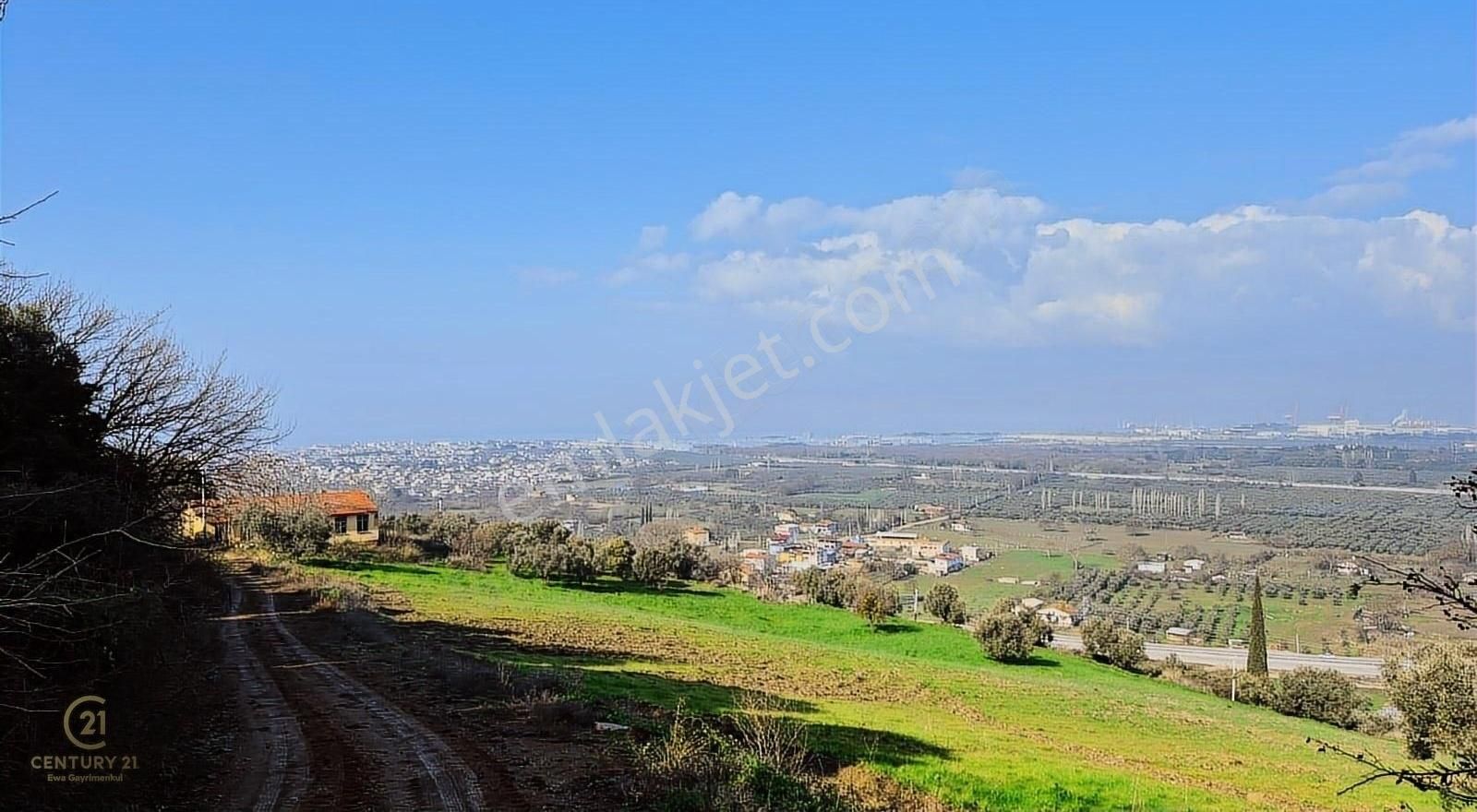 C21 Ewa'dan Gemlik Gençali Köyünde Deniz Manzaralı Zeytinlik !!! - Görsel 4
