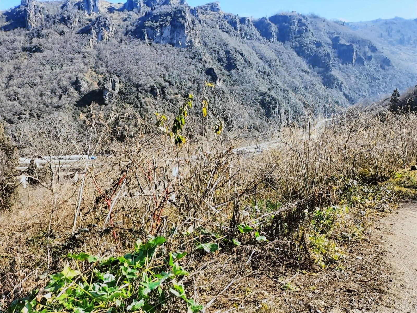 Trabzon Ortahisar Kutlugün'de Satılık Arazi - Görsel 3