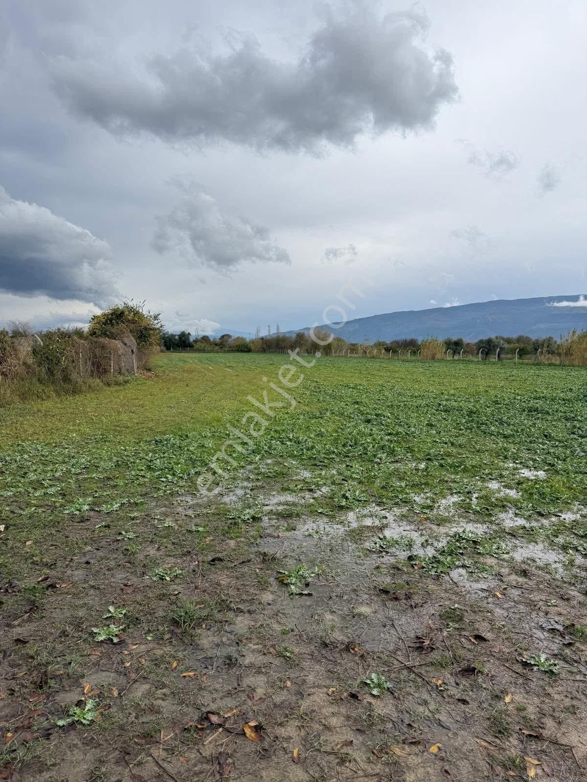 Aydın / Nazilli – Arslanlı Mahallesinde Satılık Hazır Yatırımlık Arsa Fiyat Düştüü🔥🔥 - Görsel 12