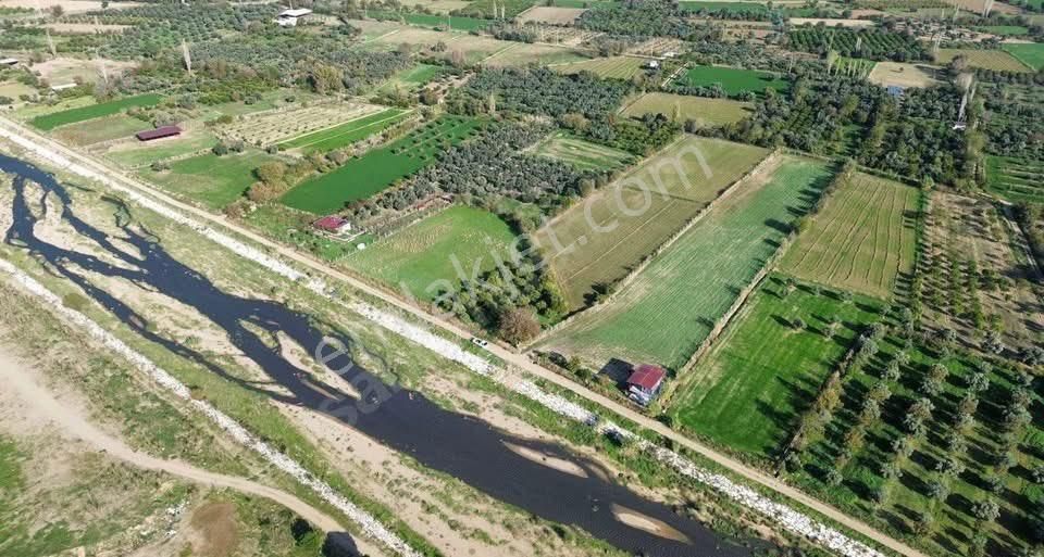 Aydın / Nazilli – Arslanlı Mahallesinde Satılık Hazır Yatırımlık Arsa Fiyat Düştüü🔥🔥 - Görsel 3