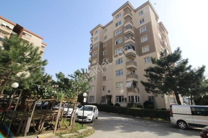 Pendik Kurtköy Yenişehir Mah Petekçiler Sit Kiralık Arakat Daire - Görsel 5