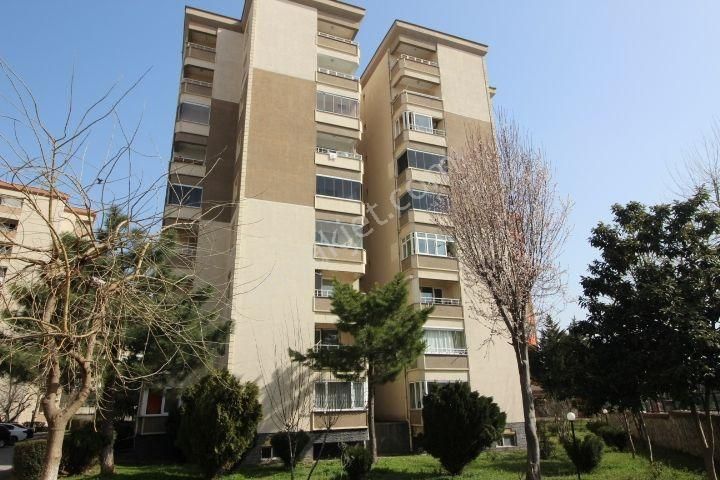 Pendik Kurtköy Yenişehir Mah Petekçiler Sit Kiralık Arakat Daire - Görsel 4