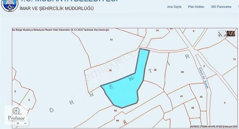 Profasor *dan Mudanya Çepni *de Satılık 5800m2 Yola Cephe Arazi - Görsel 2