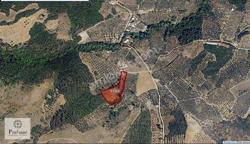 Profasor *dan Mudanya Çepni *de Satılık 5800m2 Yola Cephe Arazi - Görsel 20