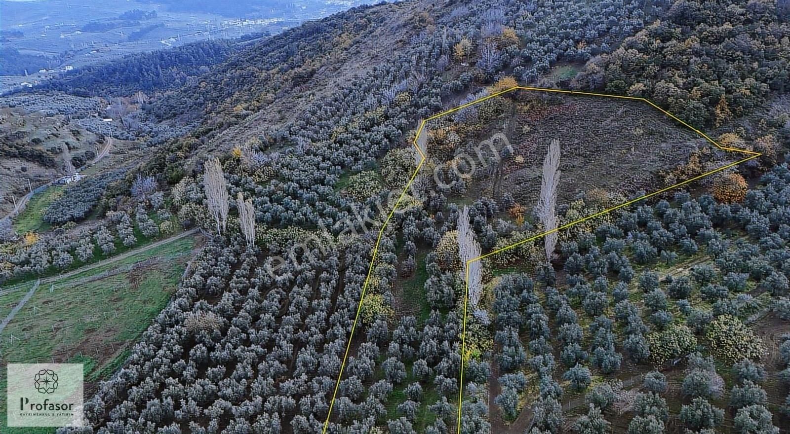 Profasor *dan Mudanya Çepni *de Satılık 5800m2 Yola Cephe Arazi - Görsel 9