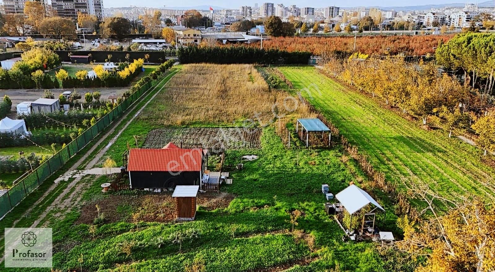 Profasor *dan Osmangazi Çeltik *te Kiralık Arazi 6.784m2 Manzara - Görsel 2