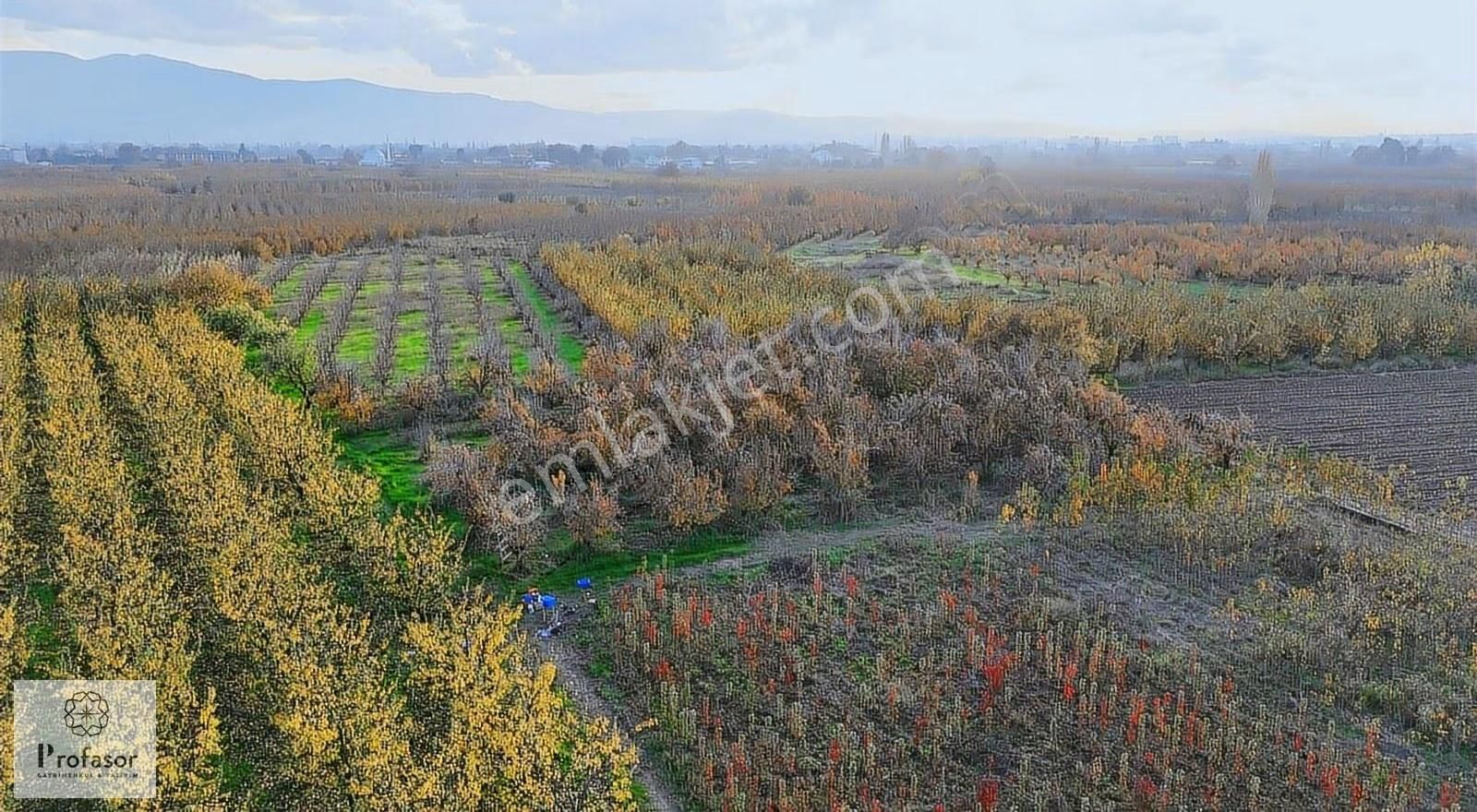 Profasor *dan Yeniceabat*ta Yatırımlık 2205m2 Tarla - Görsel 5
